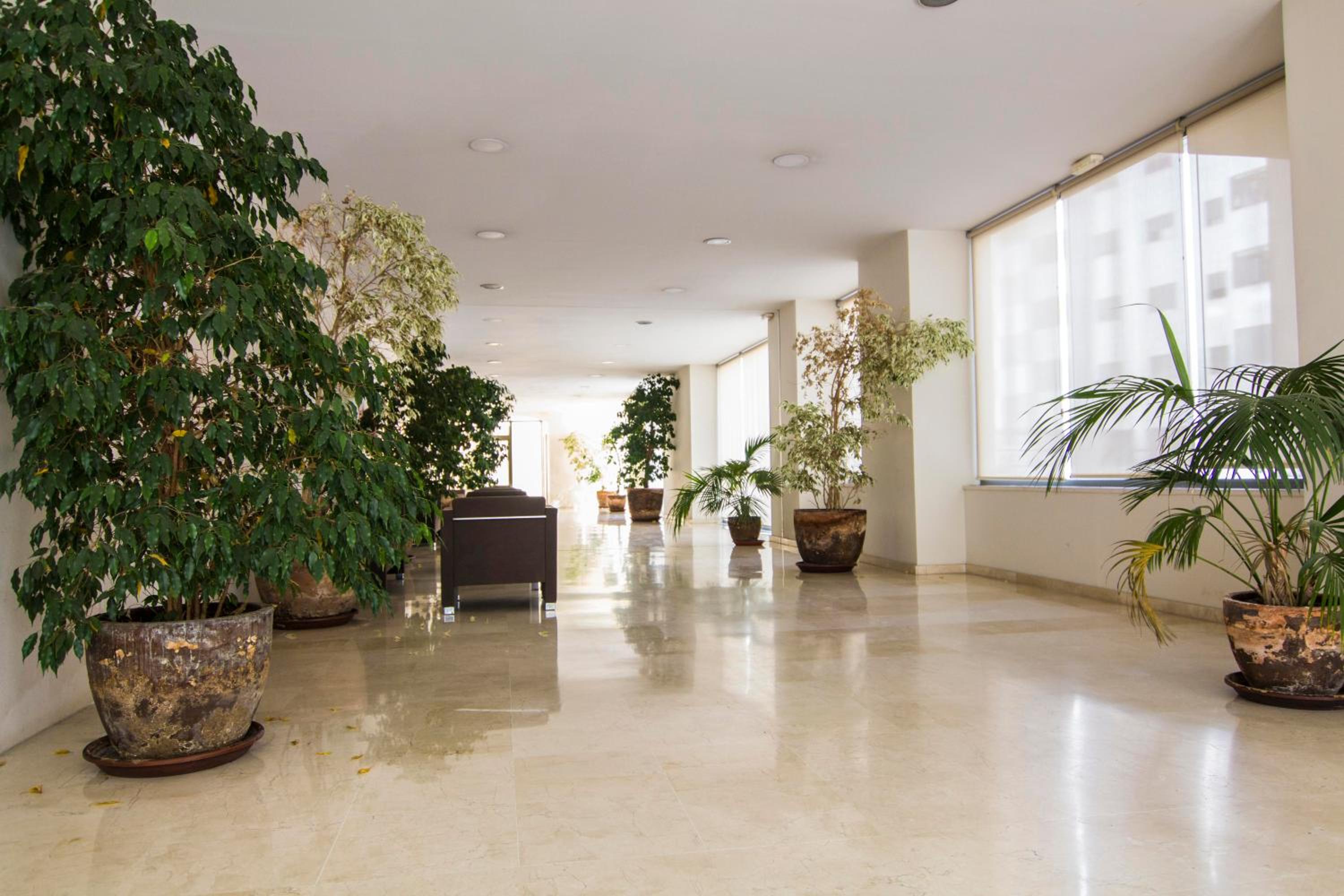 Apartamento Racimo El Puerto de Santa Maria view 4