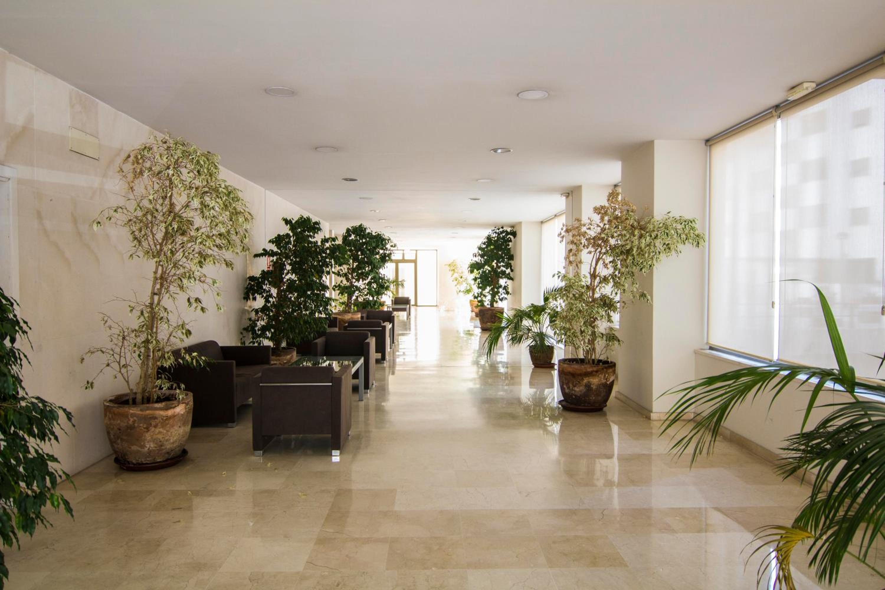 Apartamento Racimo El Puerto de Santa Maria view 5