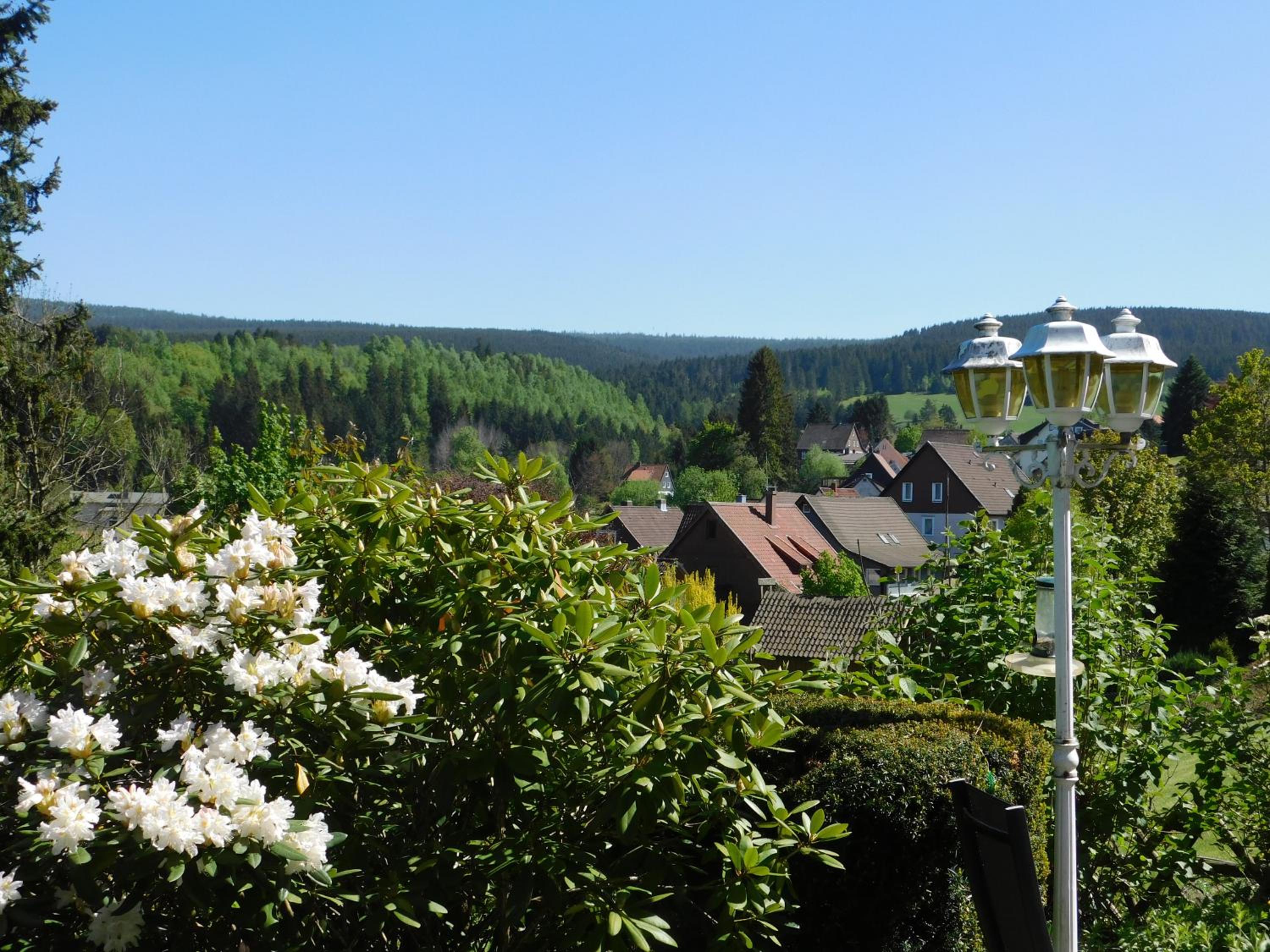 Pension Haus Petra view 5