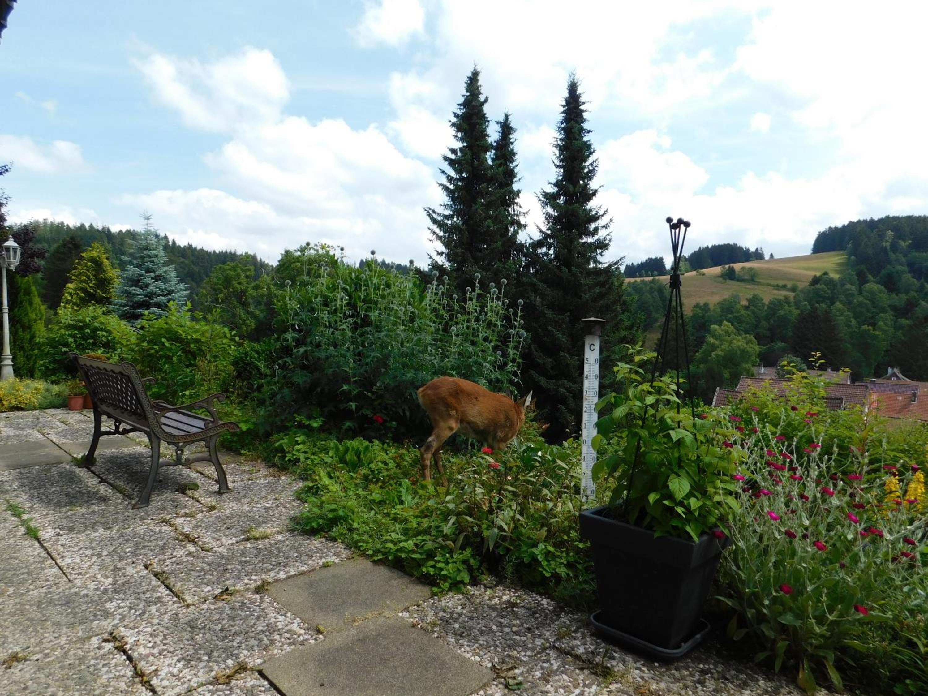 Pension Haus Petra view 4