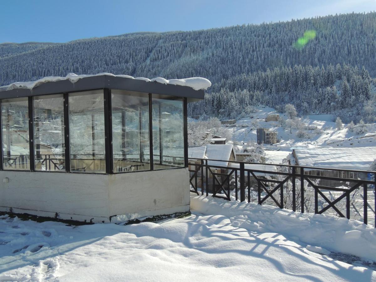 Gallery Guest House