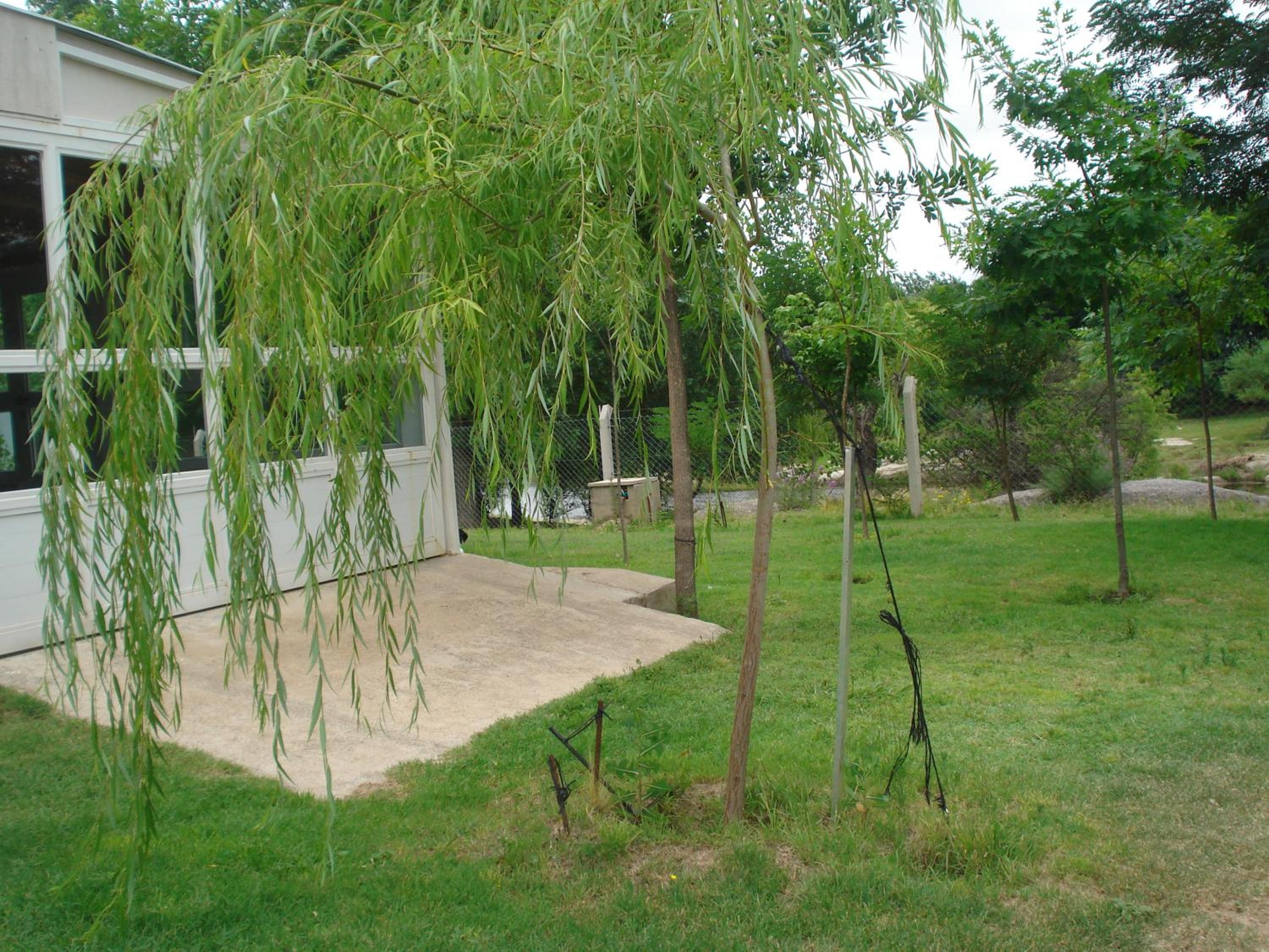Finca La Virreinita