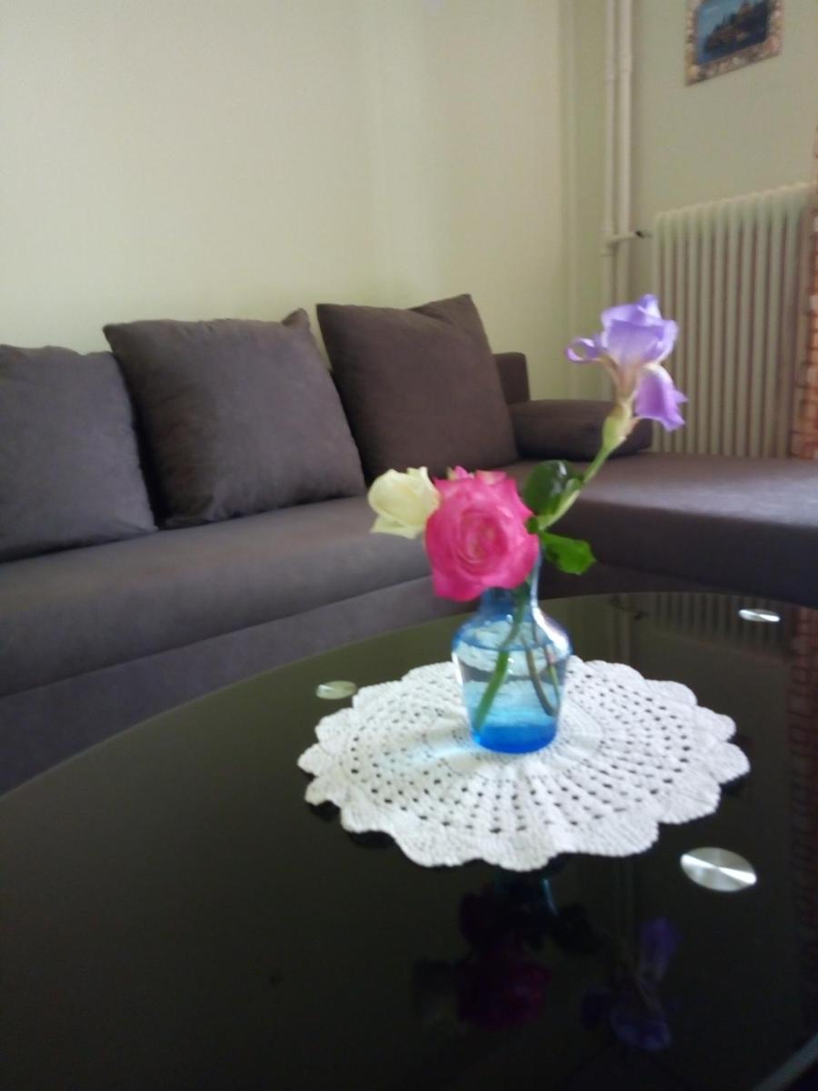 Central Apartment