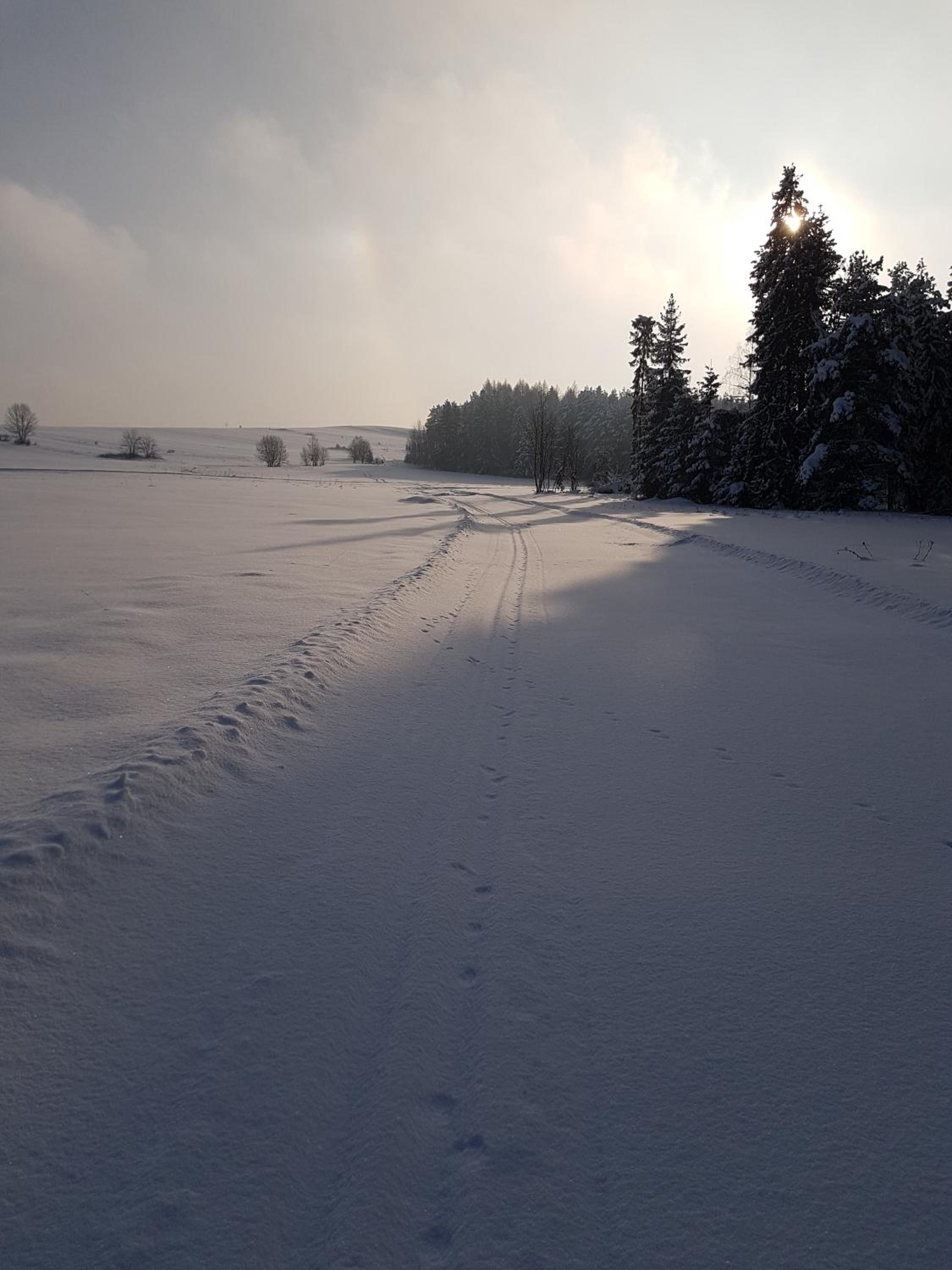 Photo 33