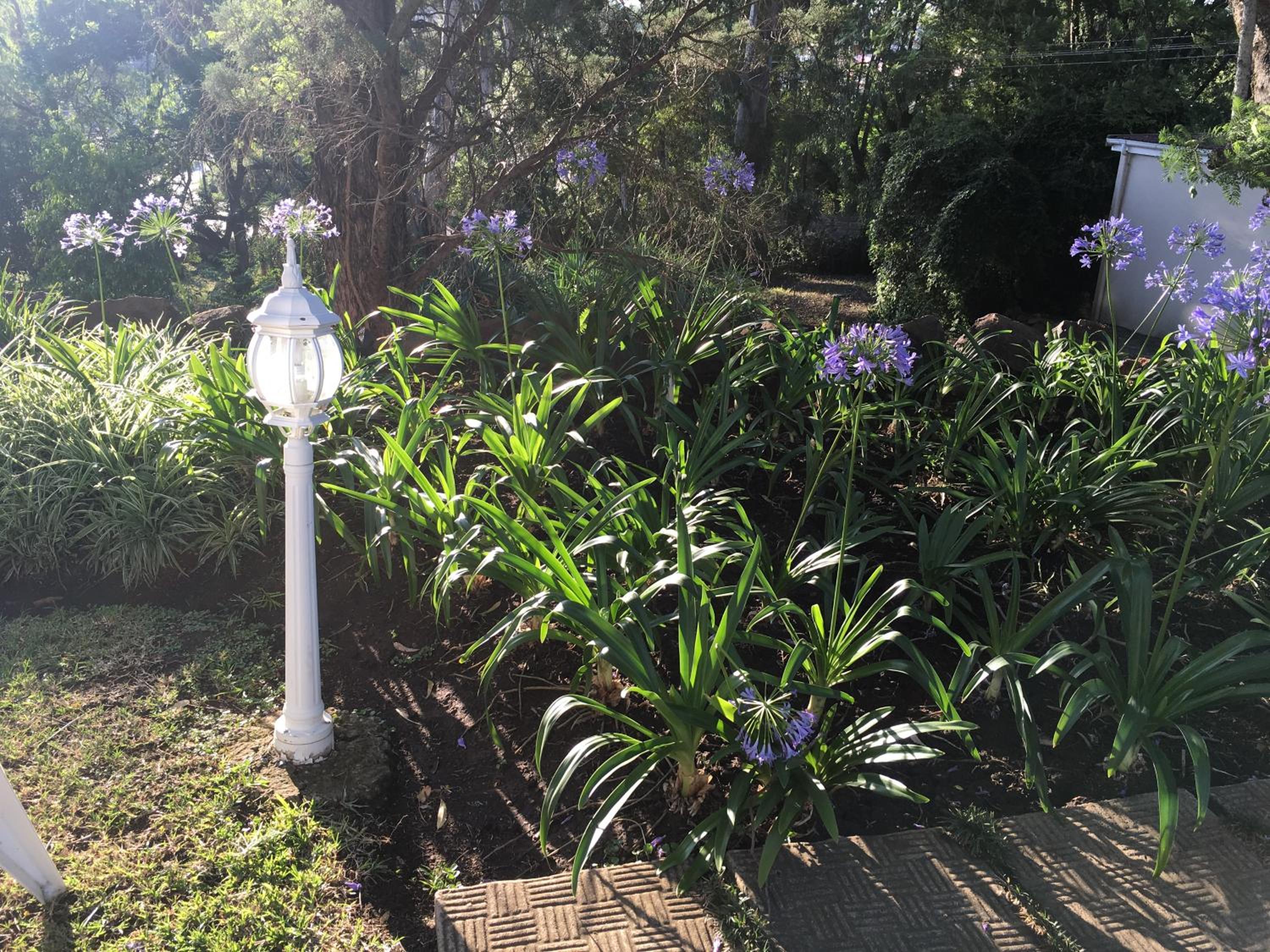Photo 43