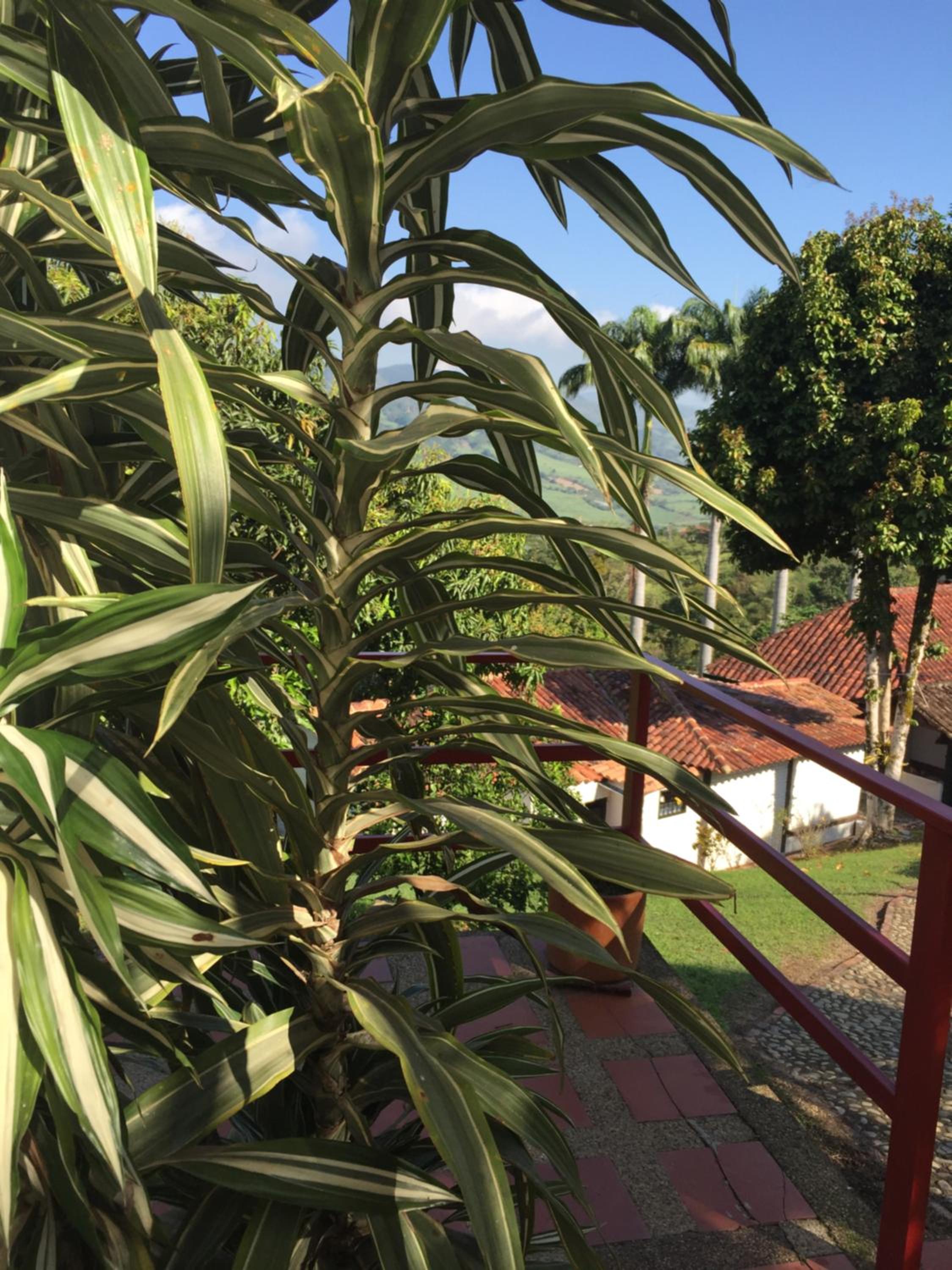 Hotel Casona Las Juanas