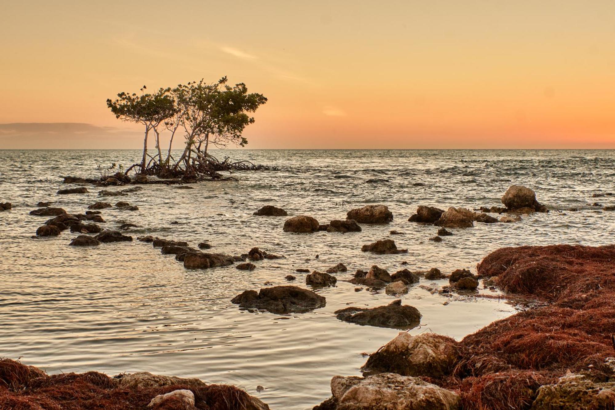 Isla Bella Beach Resort & Spa - Florida Keys