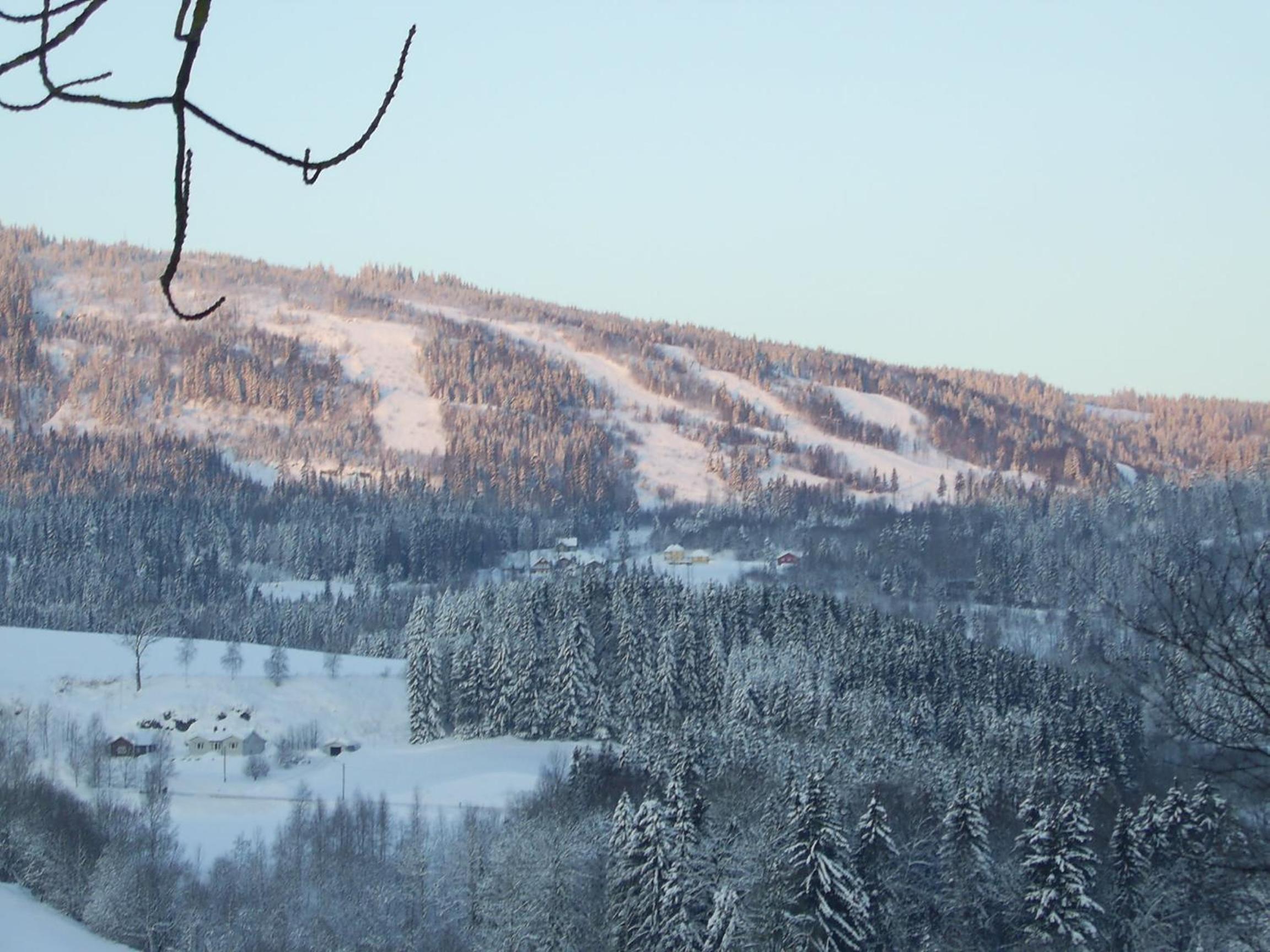 Sogn Gjestegard view 4