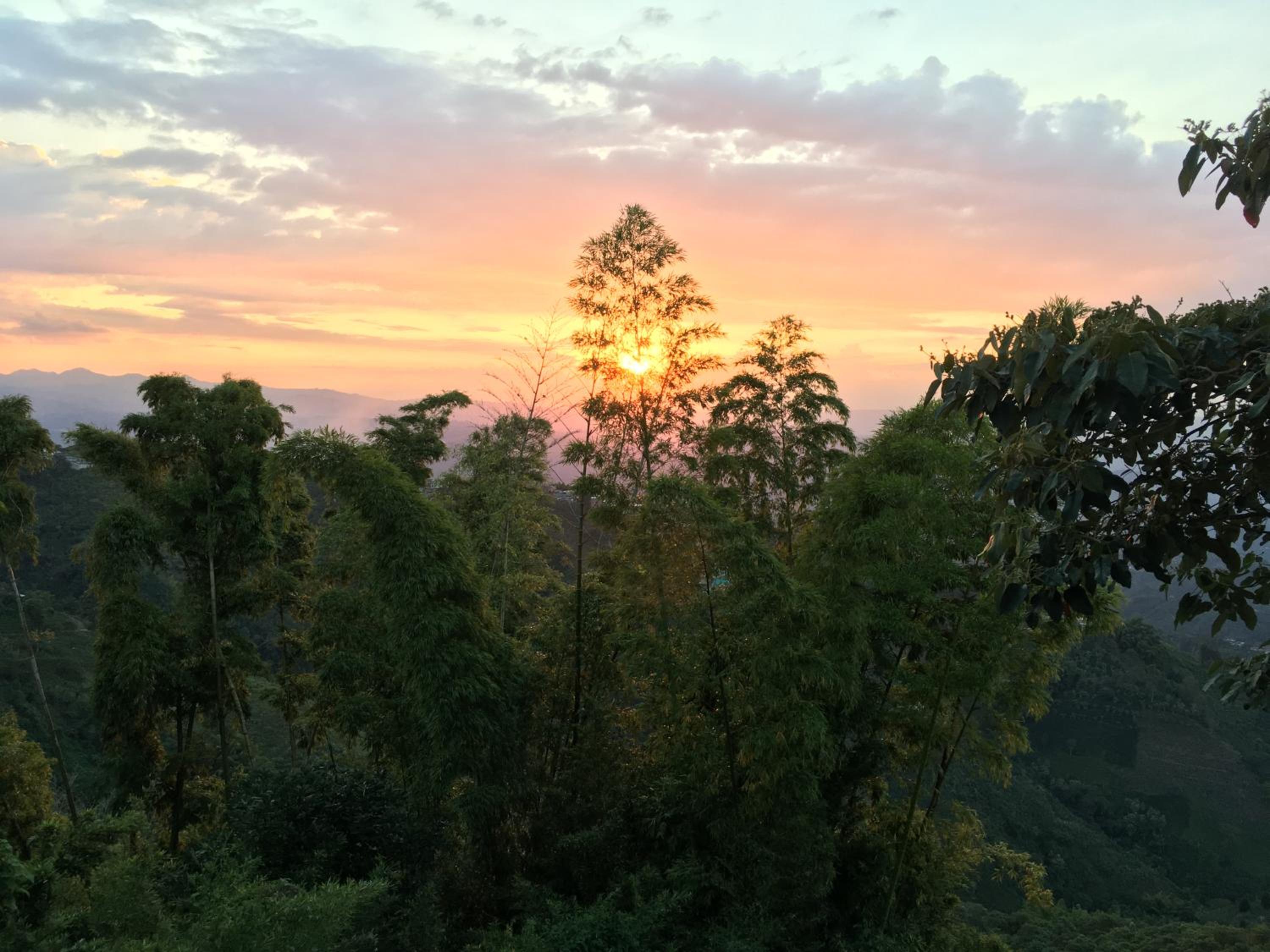 Mirador Finca Morrogacho