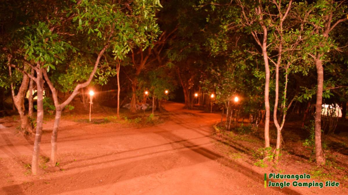 Sigiri Jungle Camping view 5
