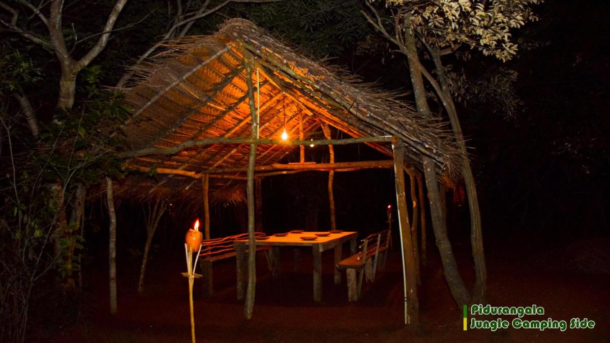 Sigiri Jungle Camping view 3