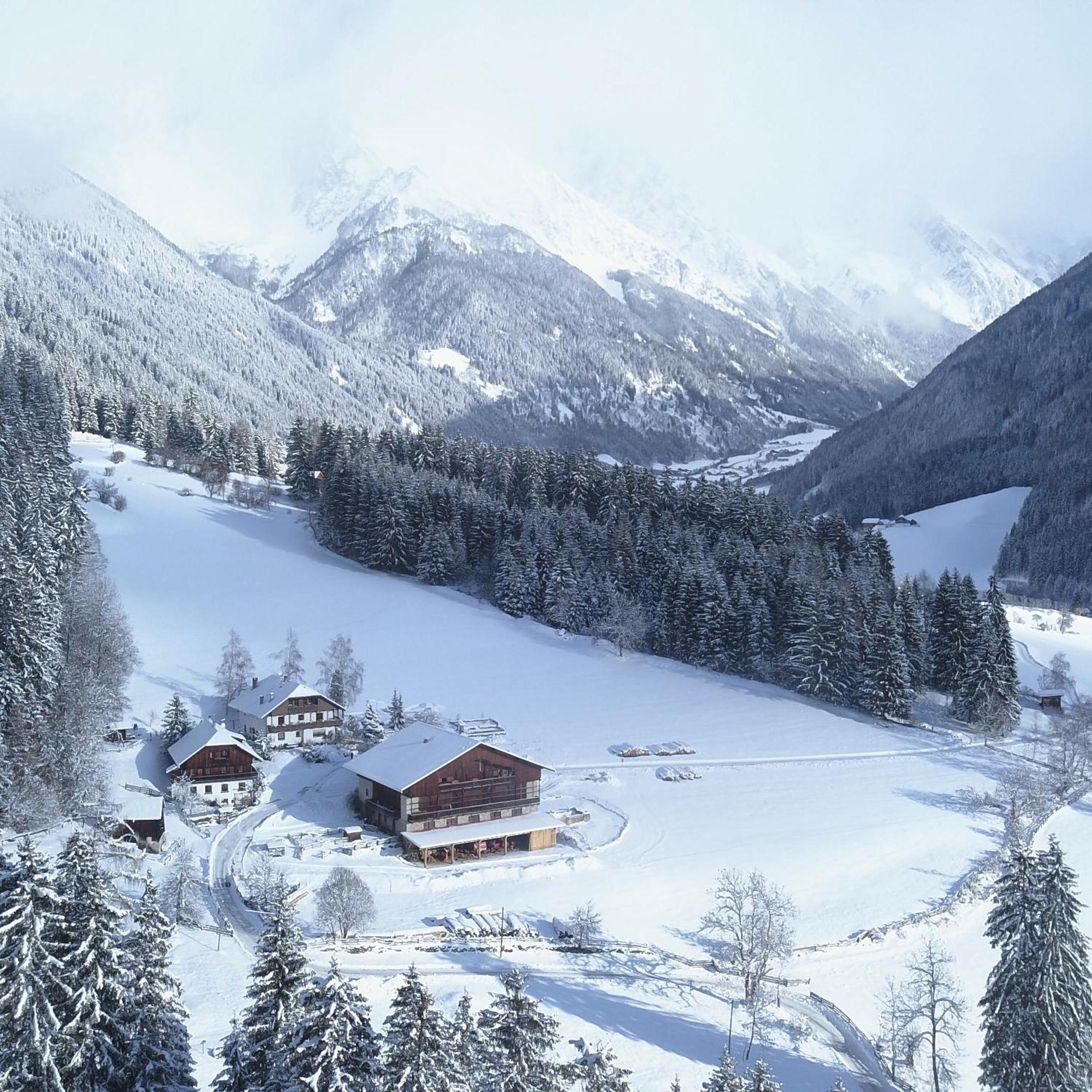 Wiesemann Biohof view 2