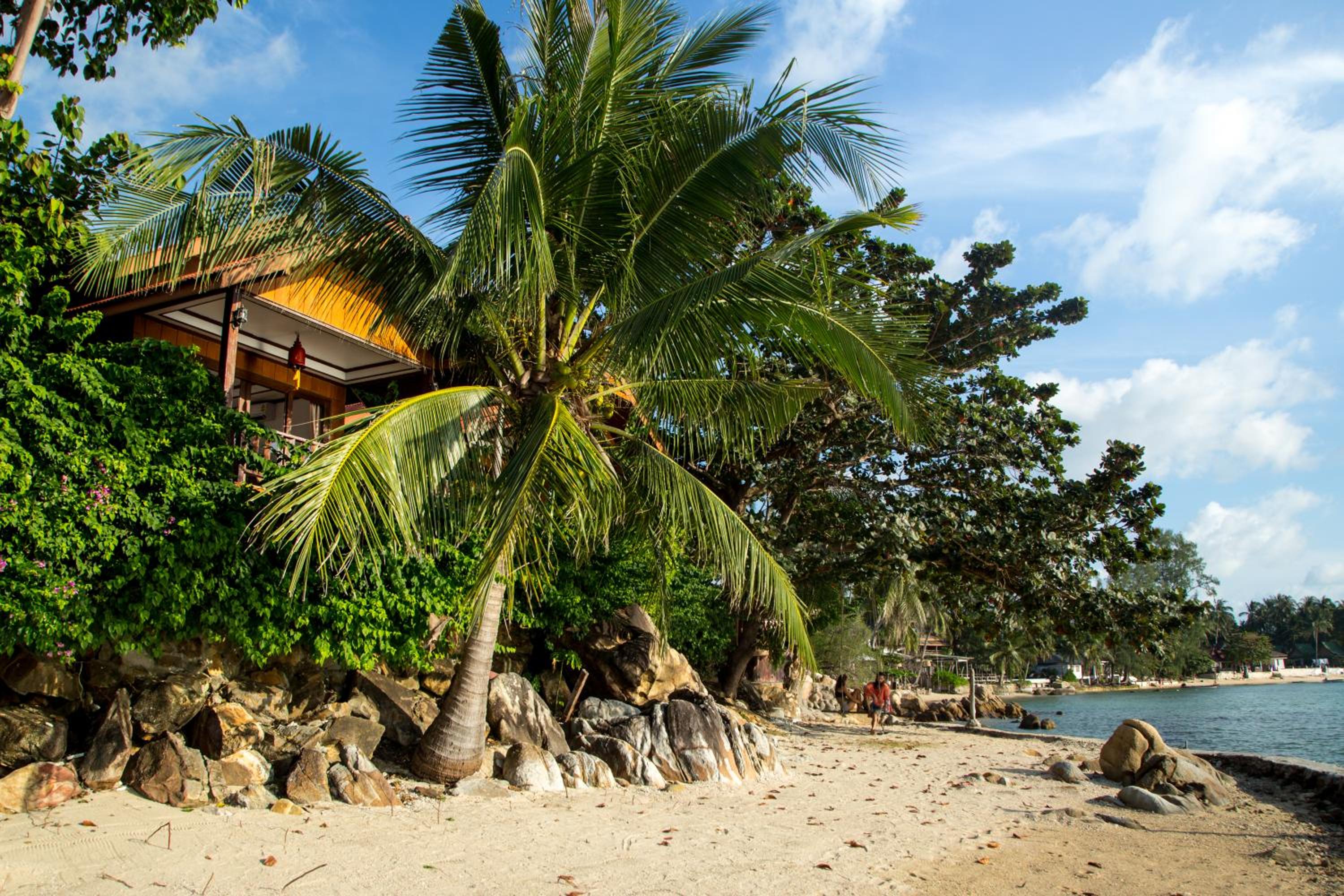 Zama Resort Koh Phangan