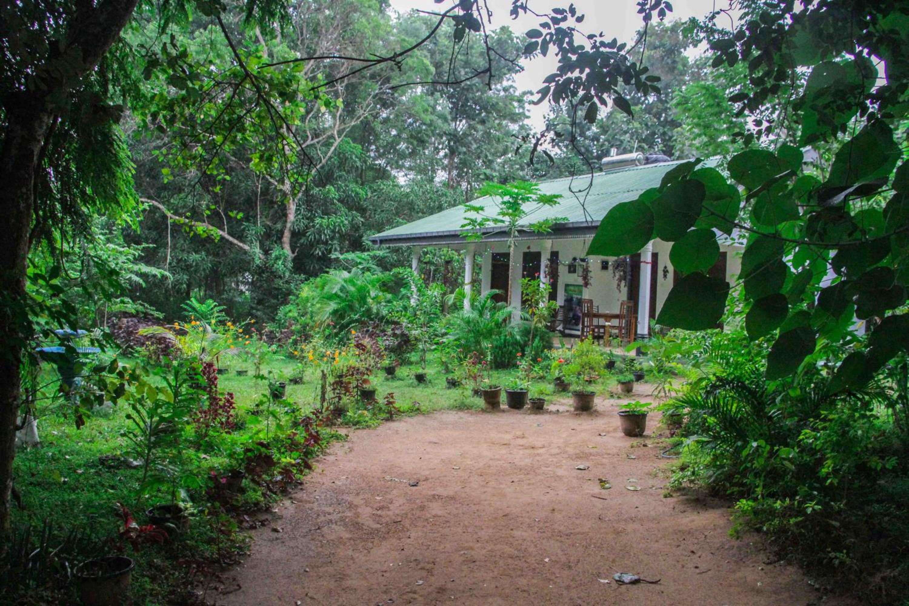 Sigiriya Mana B&B view 5
