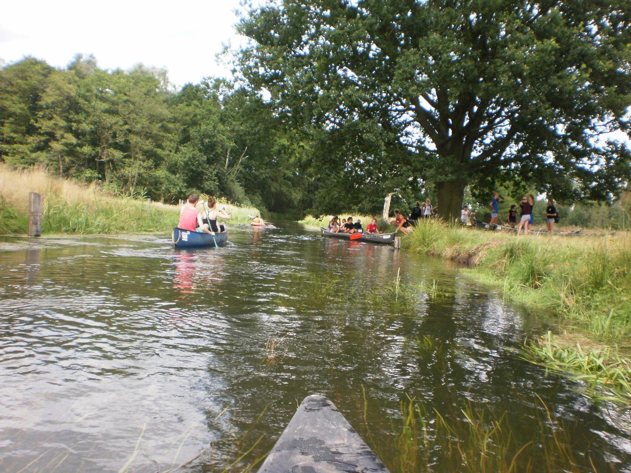 Photo 40