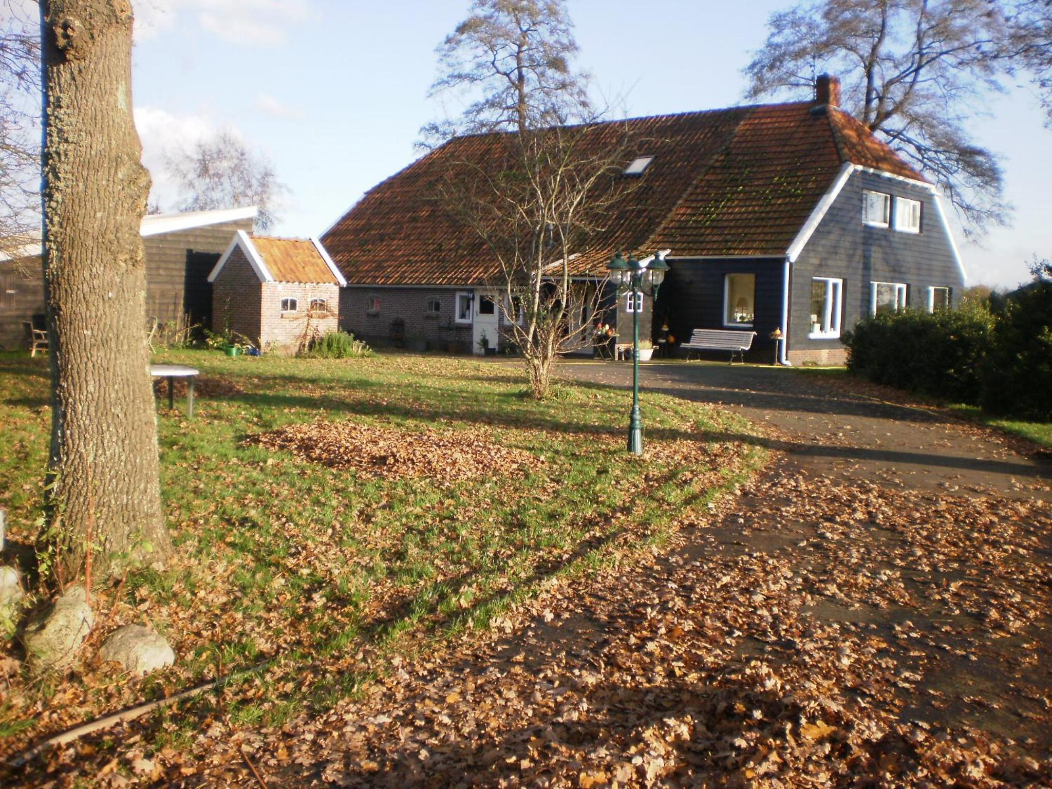 Photo 18