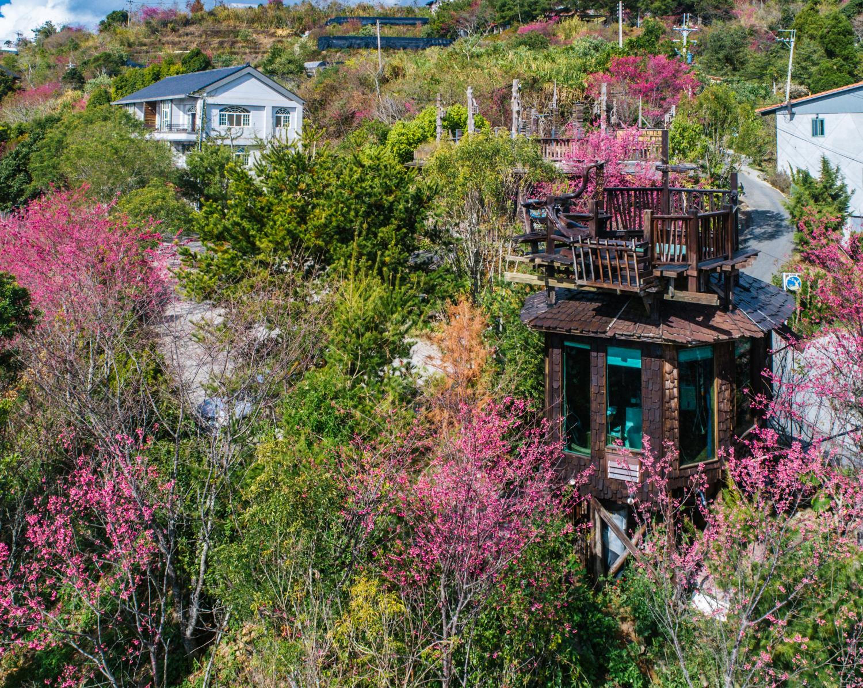 Yunnan Homestaty