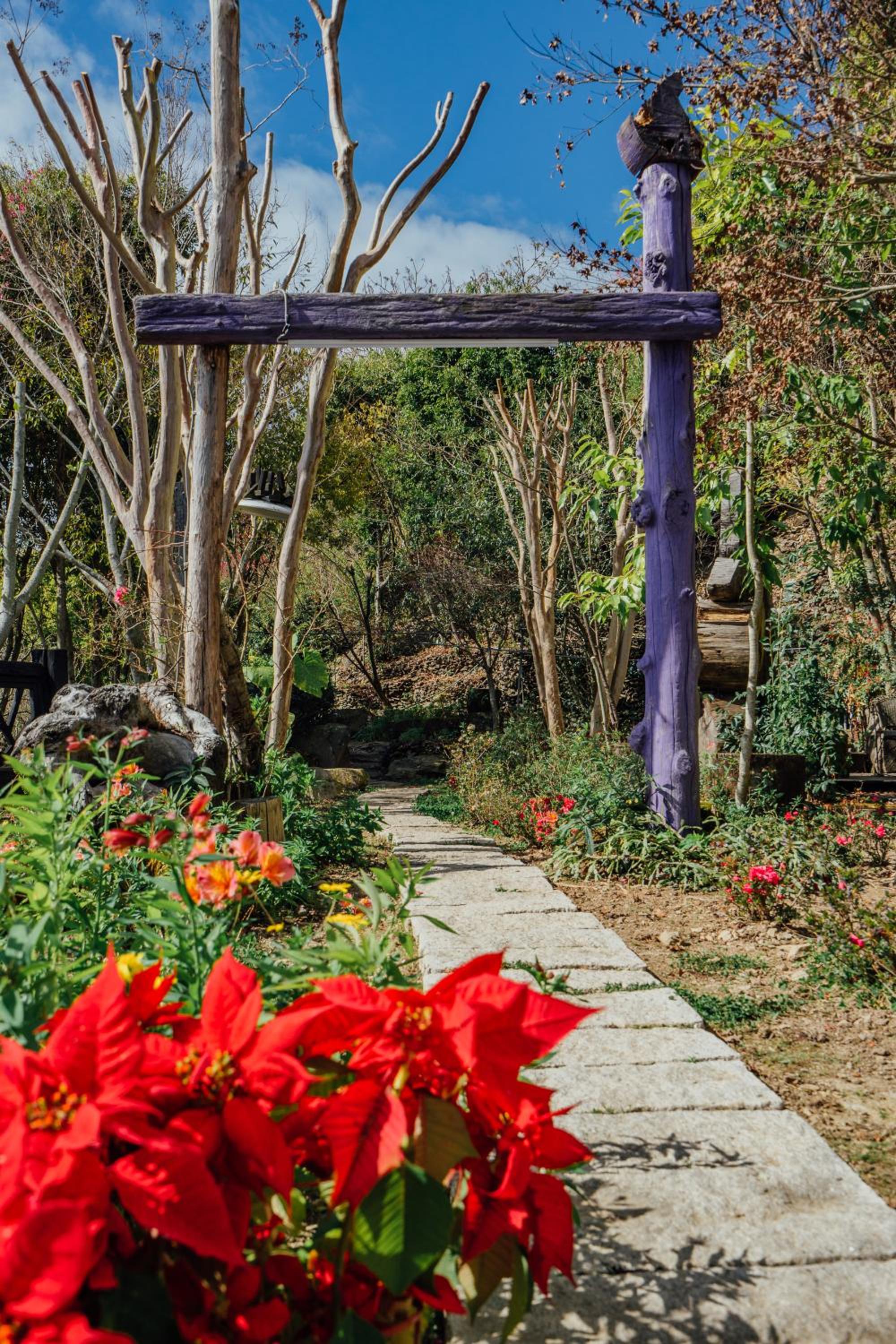 Yunnan Homestaty