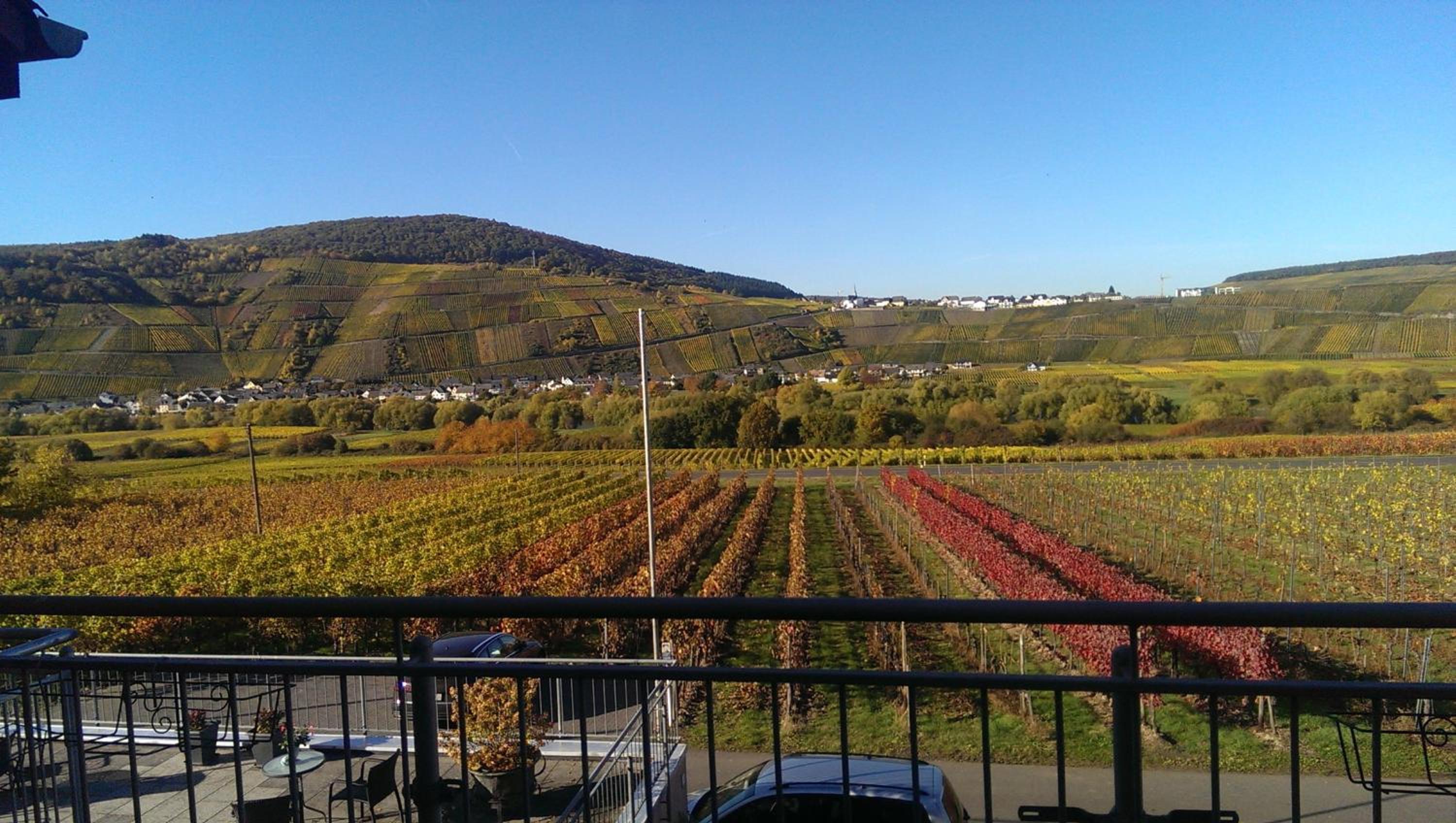 Weingut Tiliahof