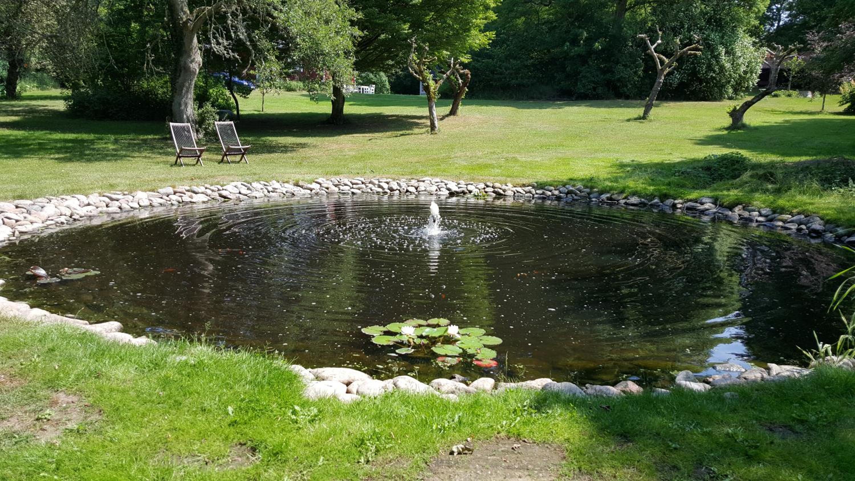 Photo 22