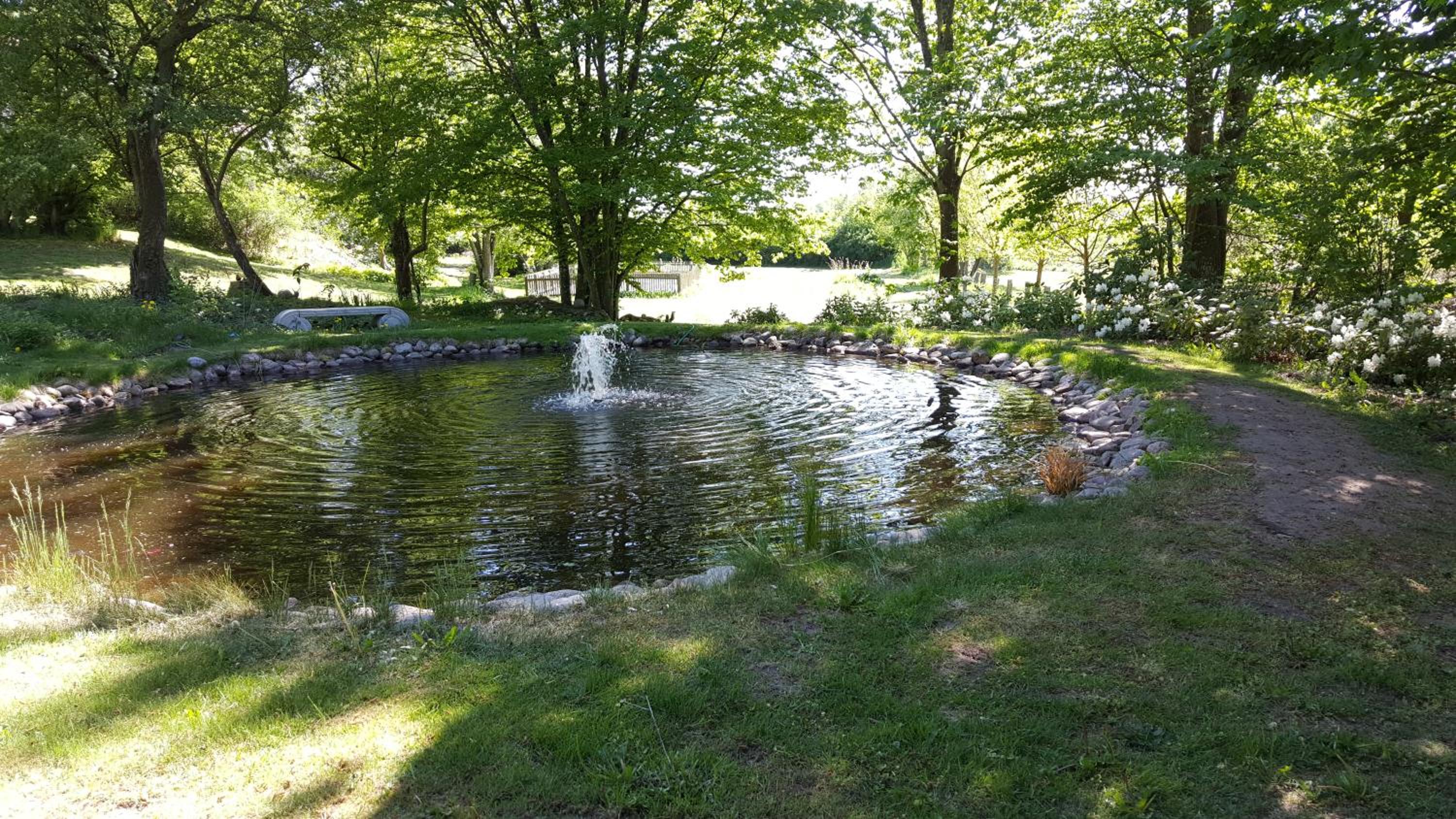 Photo 24