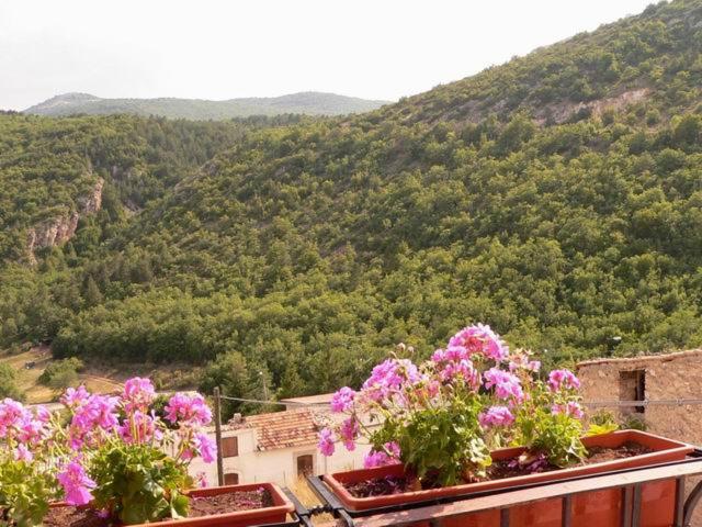 Regio Tratturo view 4