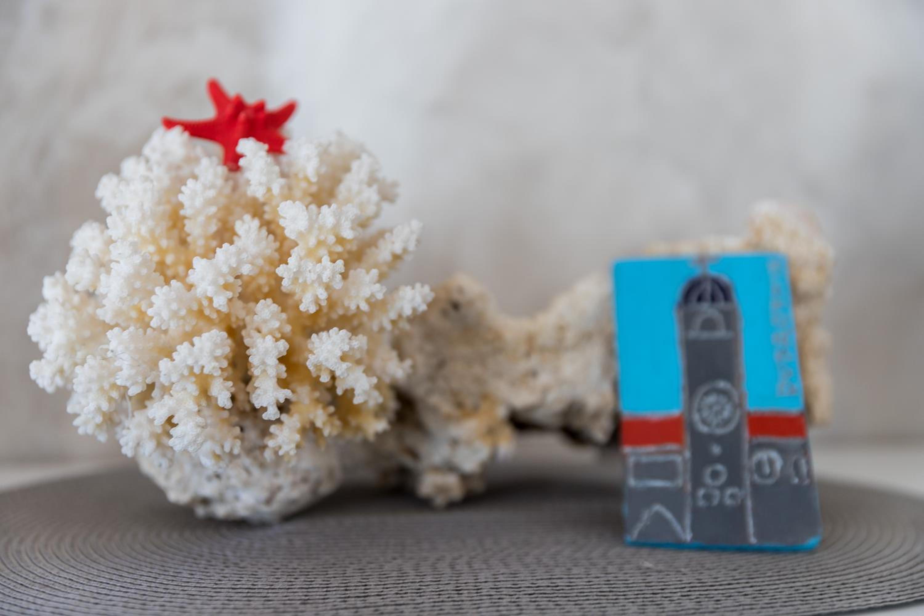 Apartment Coral