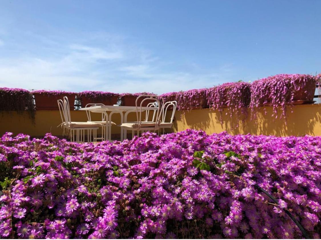 Palazzo Sassi photo 5