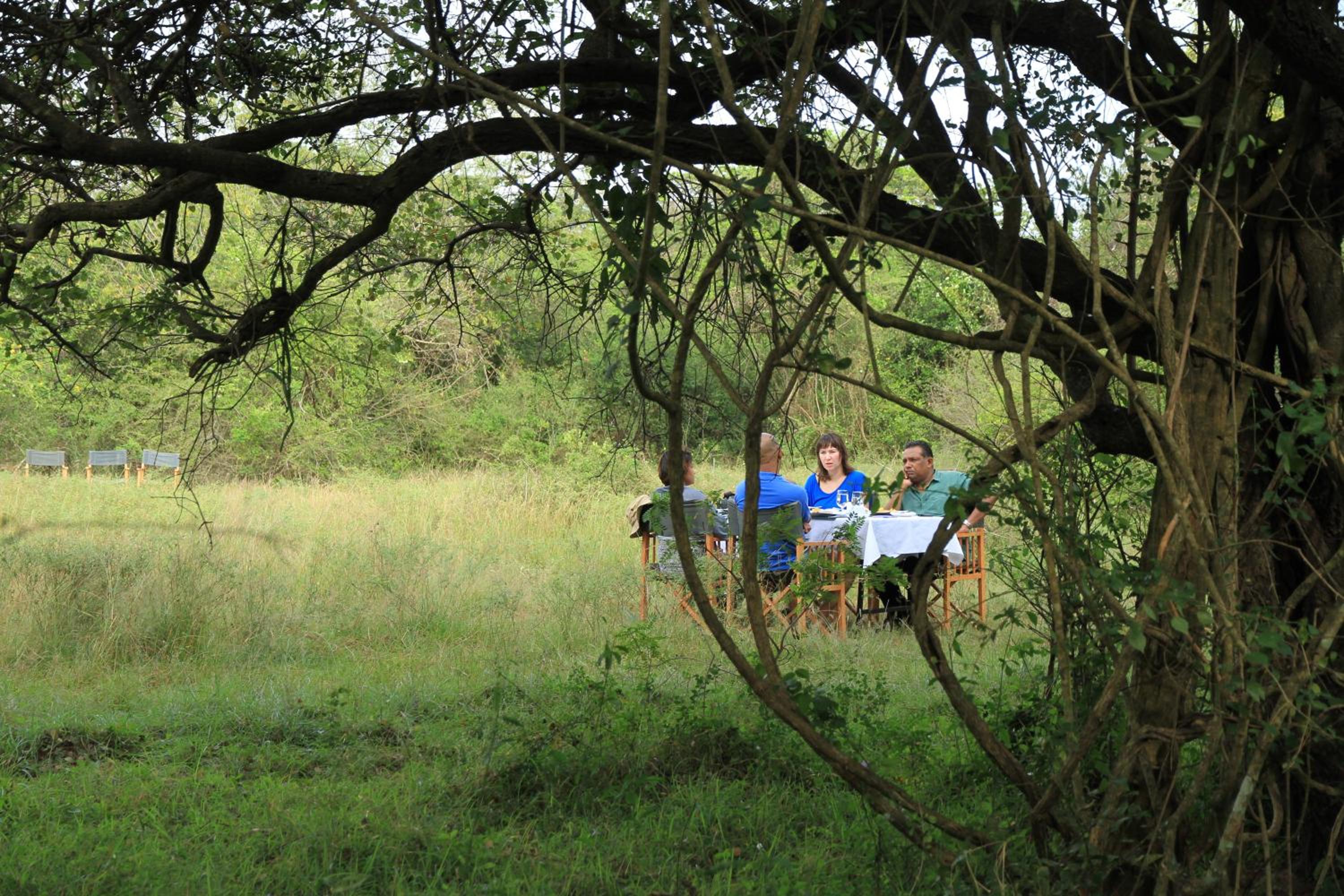 Big Game - Wilpattu by Eco Team