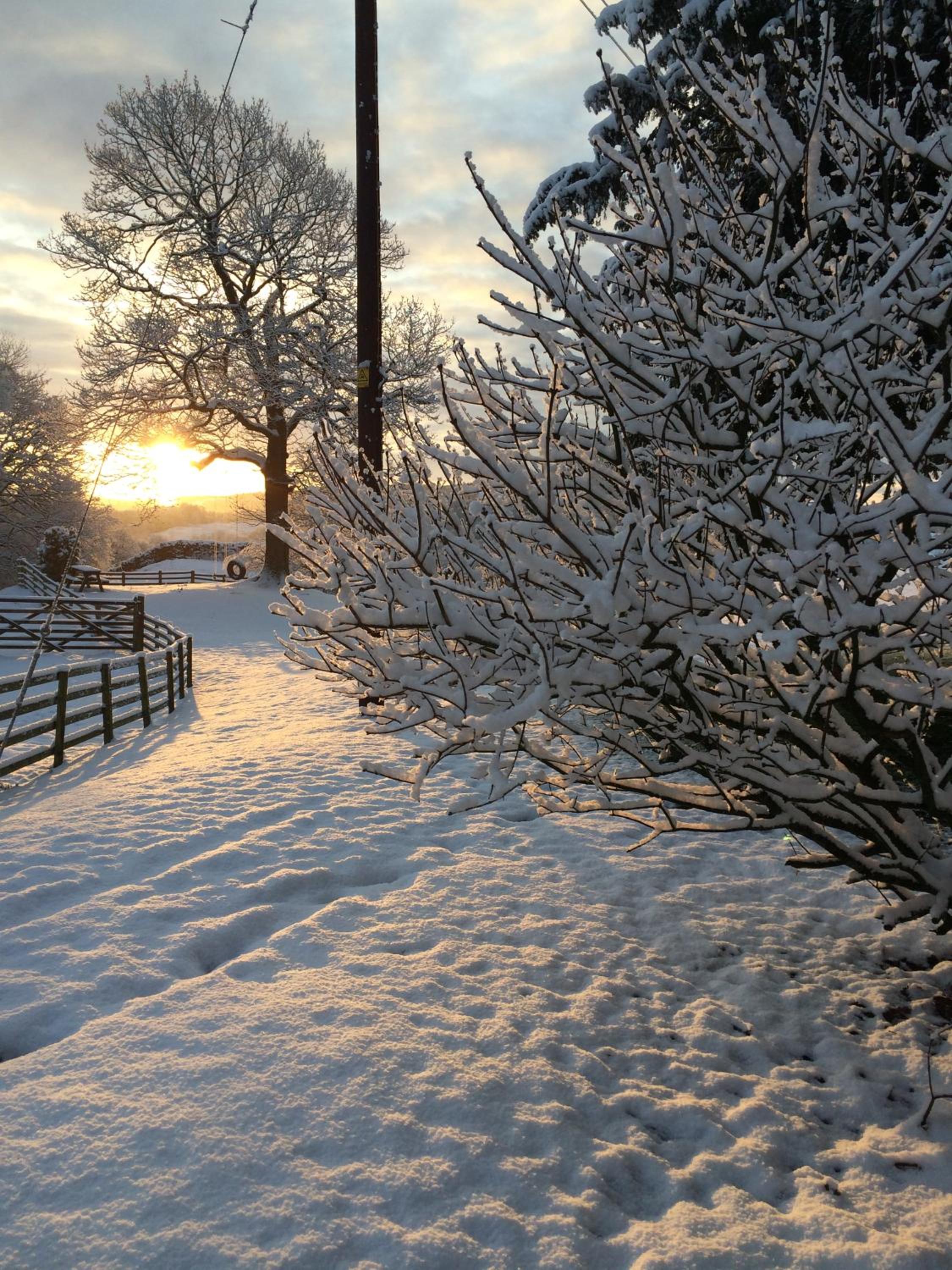 Holmeshead Farm view 3