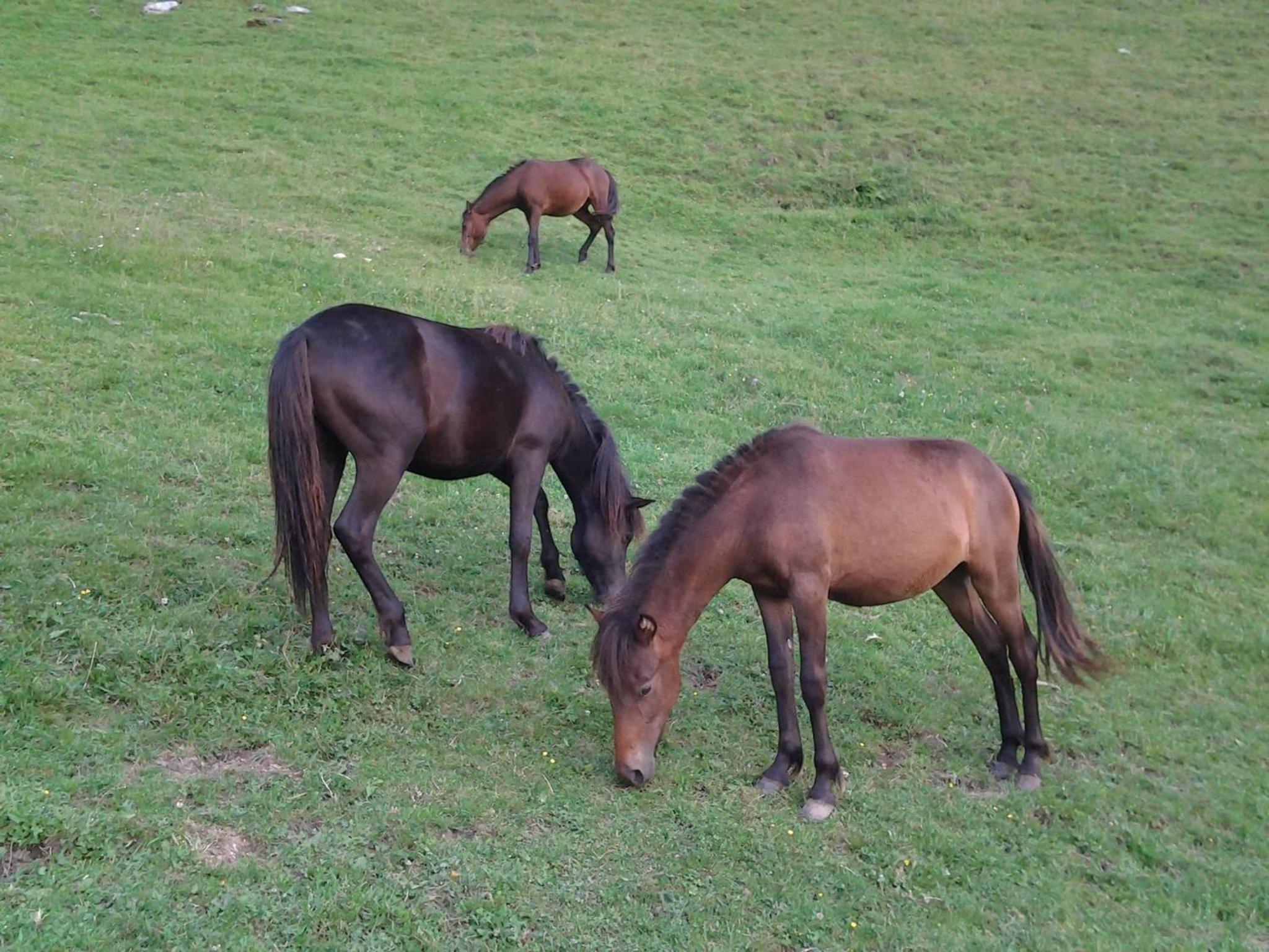 Agriturismo Le Radici