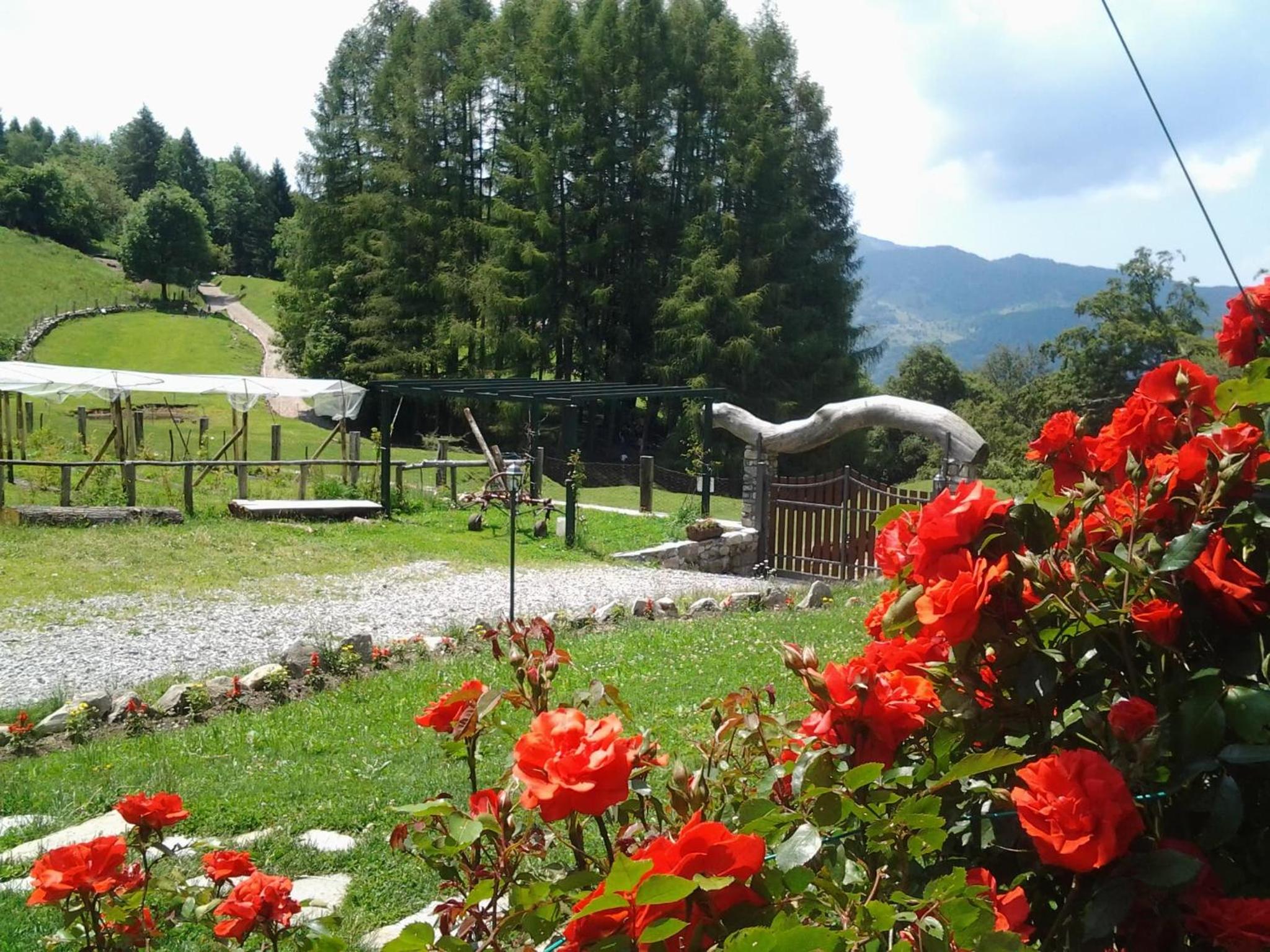 Agriturismo Le Radici