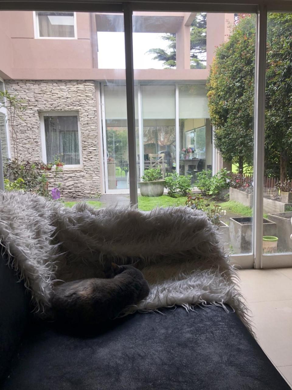 Casa Guemes