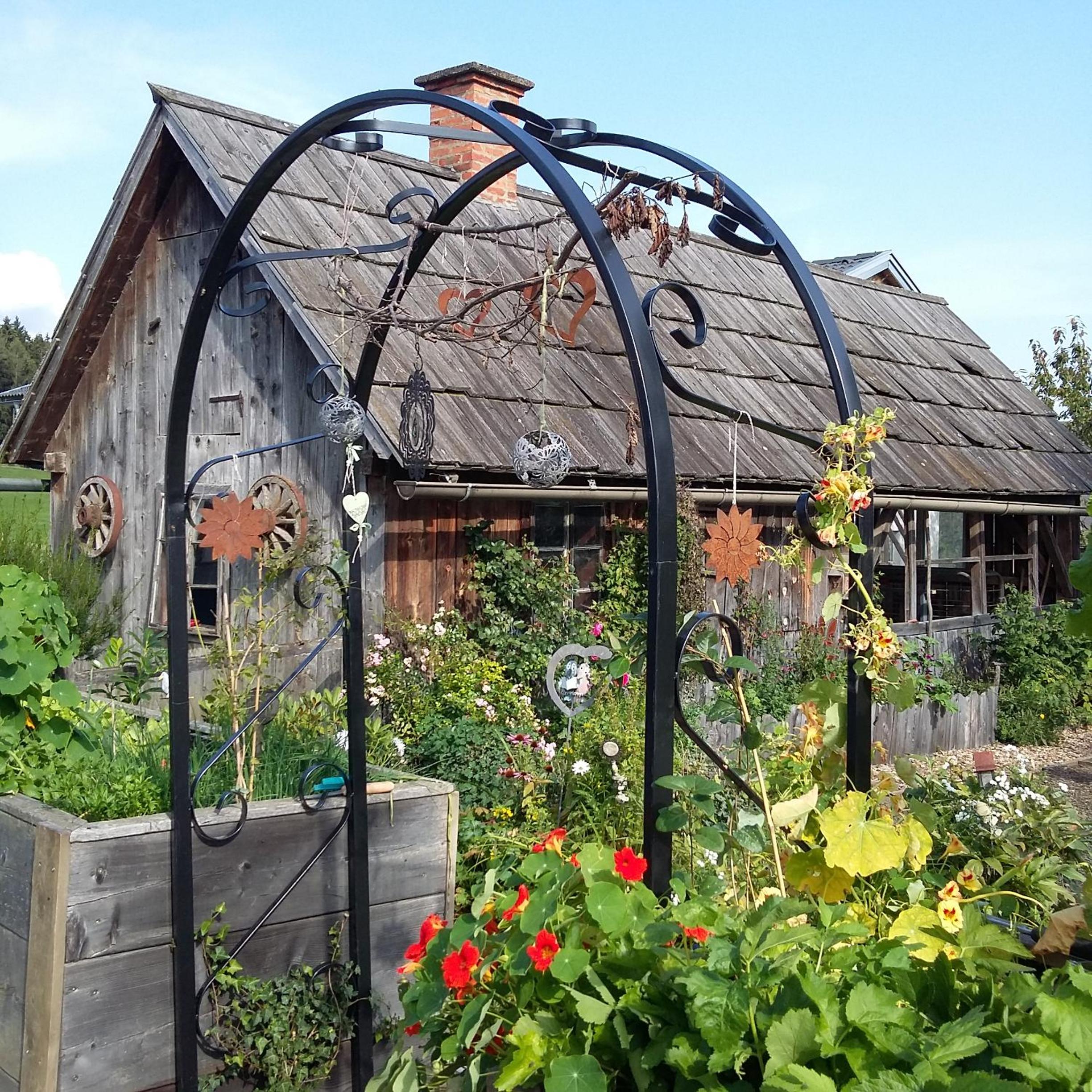 Biohof Köck Tonibauer