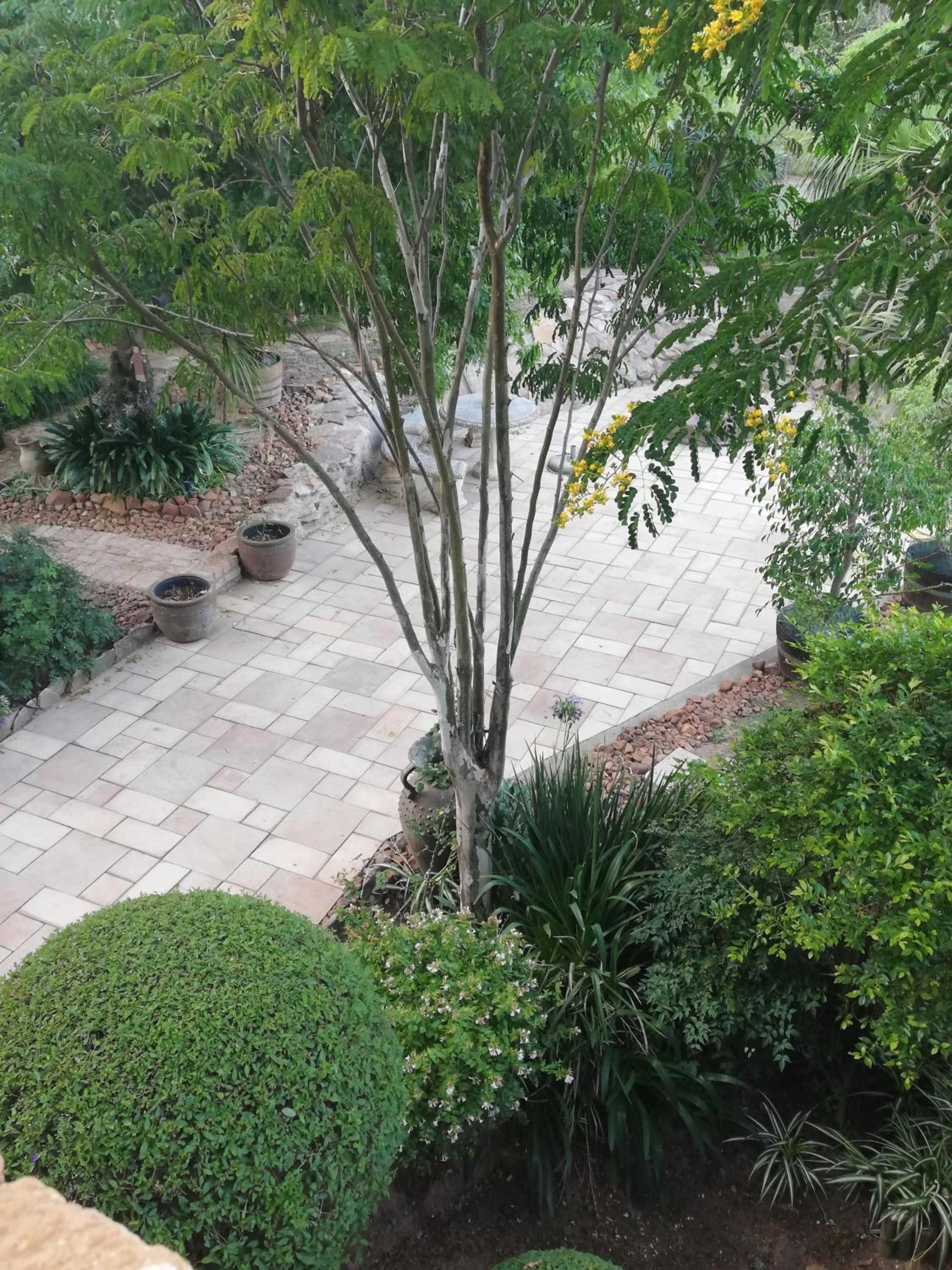 Photo 29