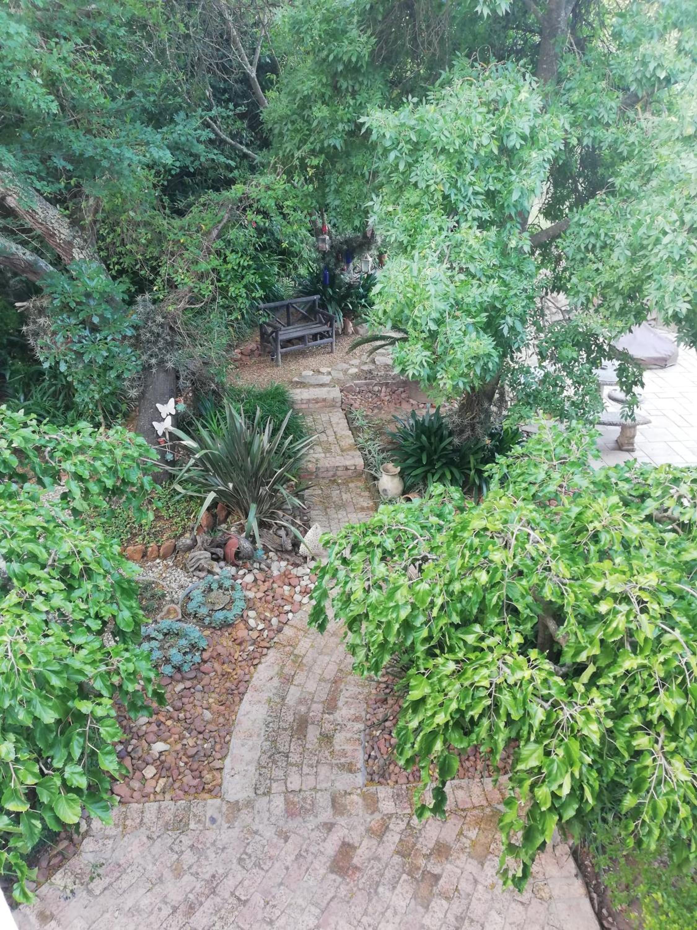 Photo 21