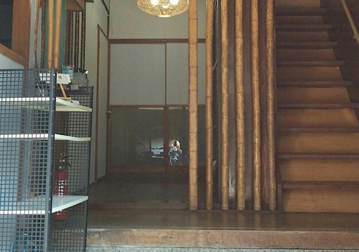 Guesthouse Angoso