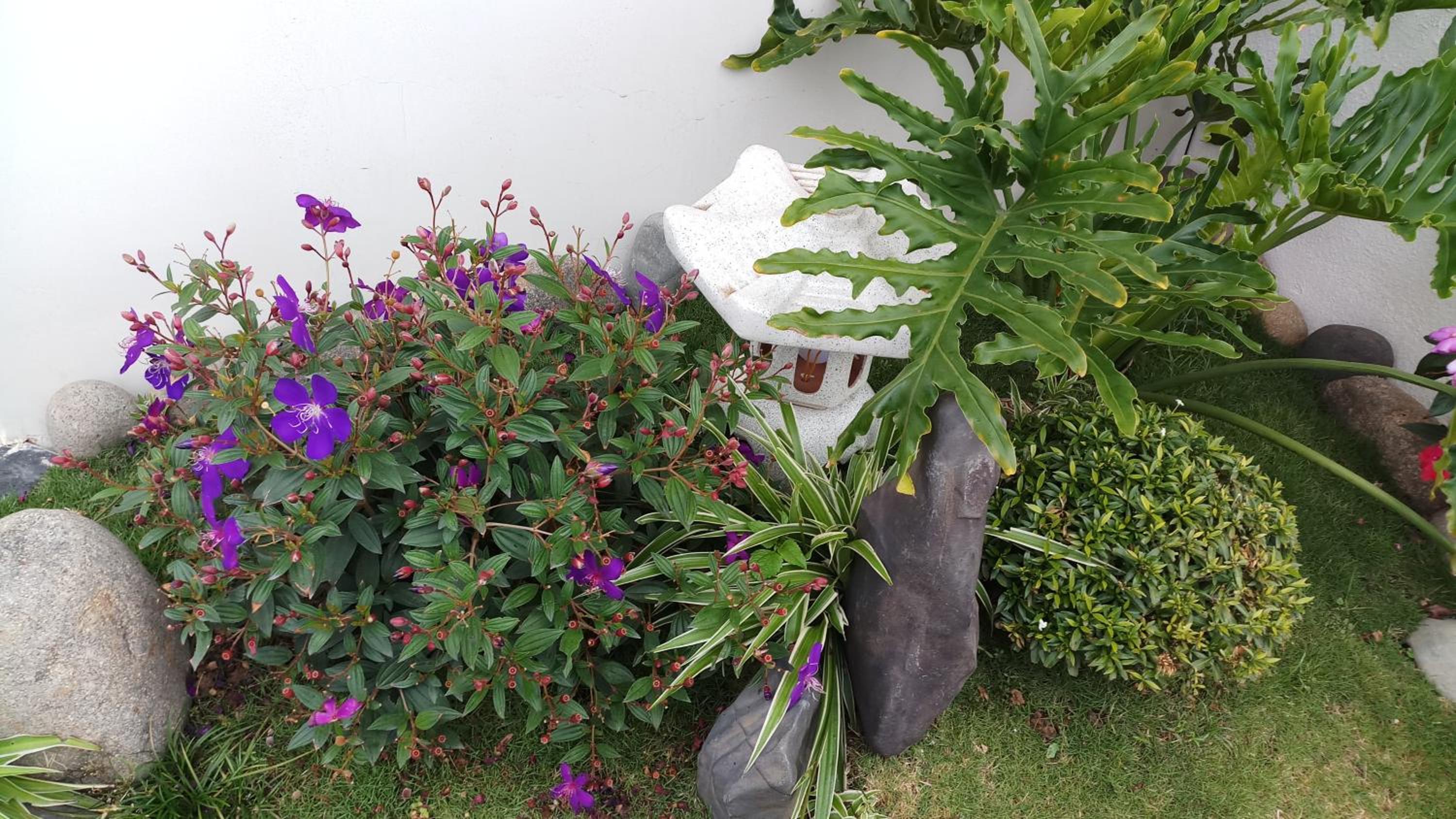 Photo 35