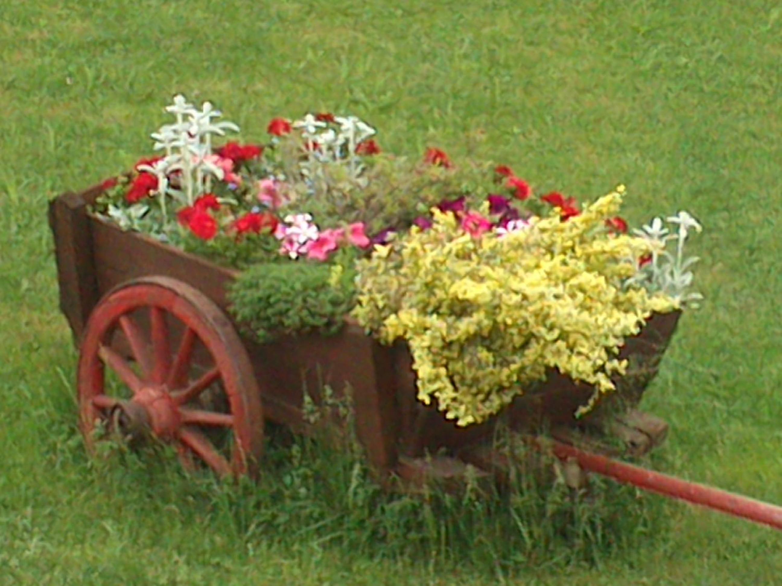 Photo 20