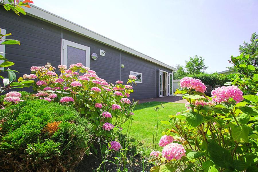 Holiday rentals view 2