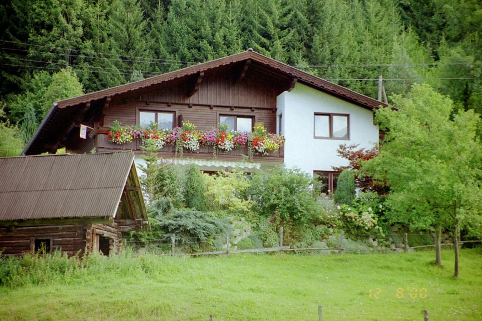 Photo 6