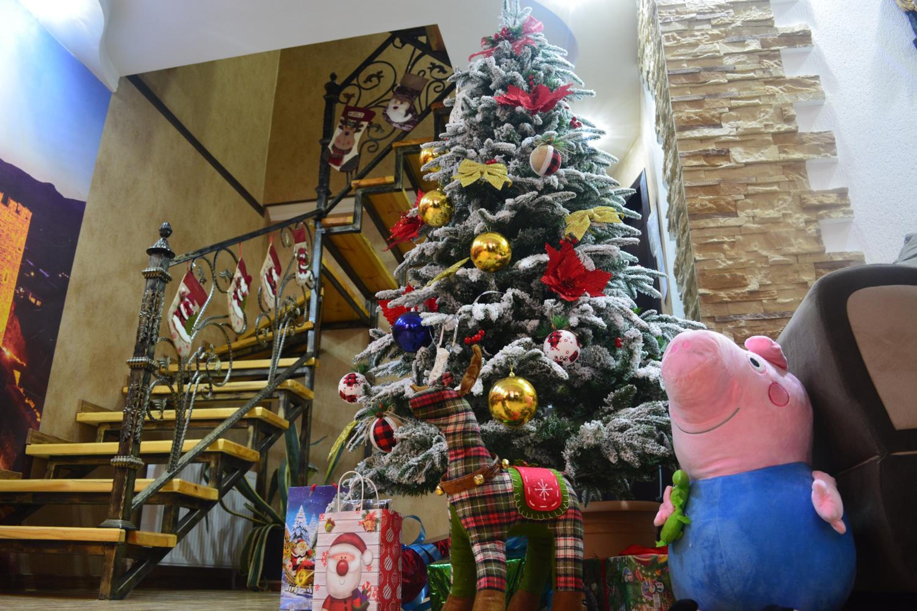 Photo 43