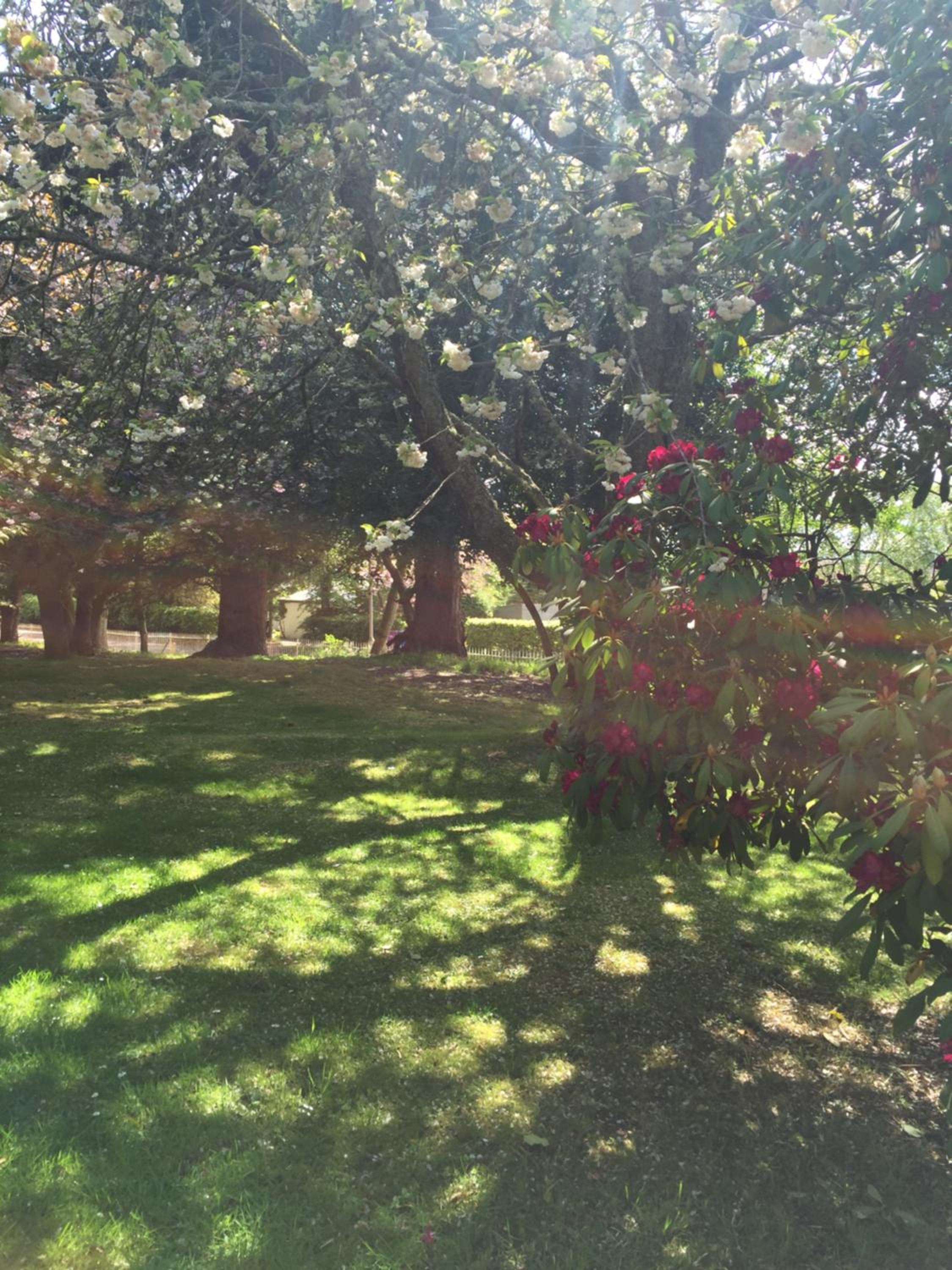 Firlands Lodge