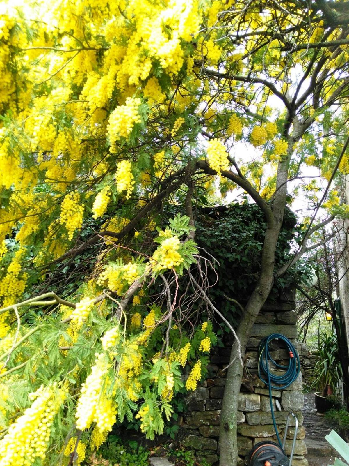 Photo 29