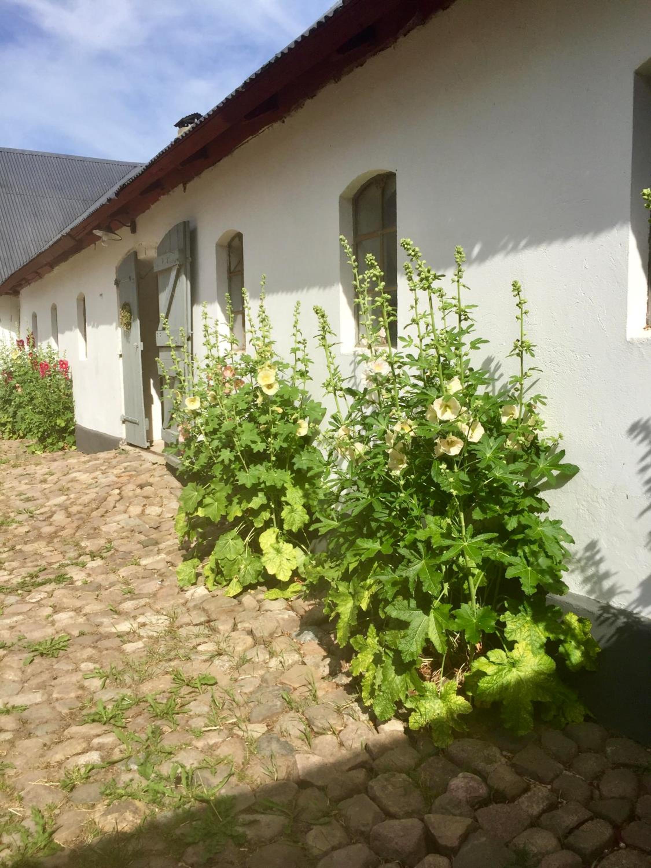 Åkeslund