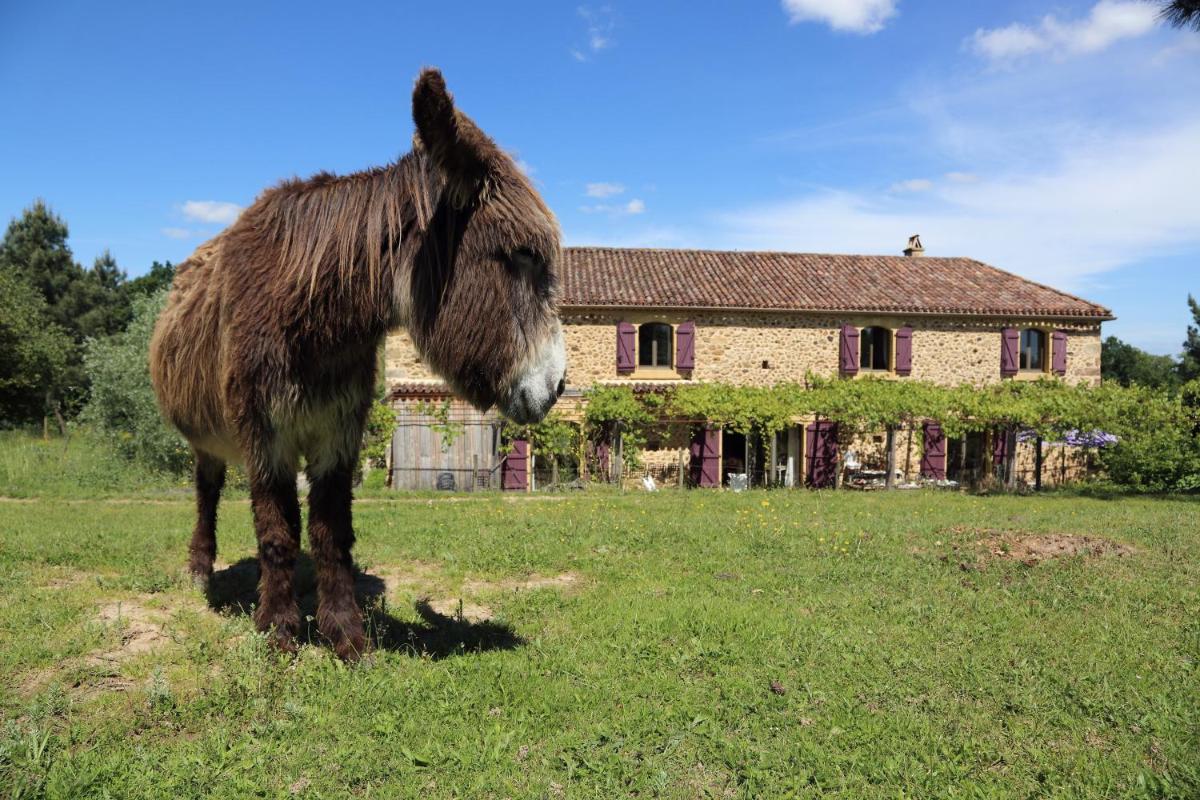 Chambres d'Hôtes Léone Haute