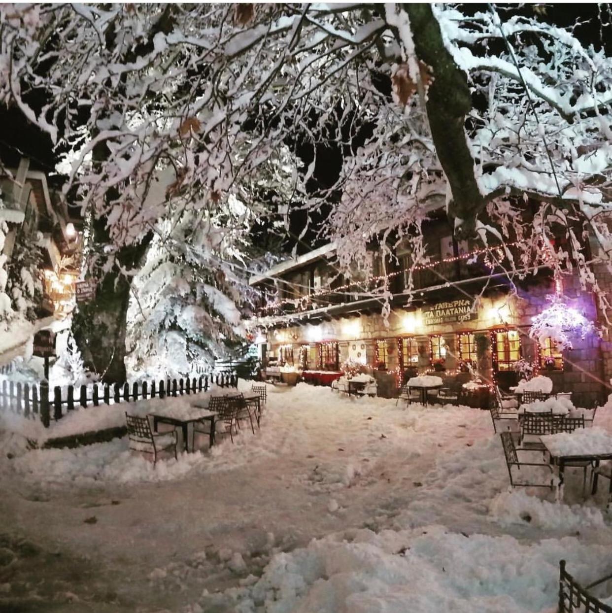 Asimina Guesthouse, Eptalofos Parnassos