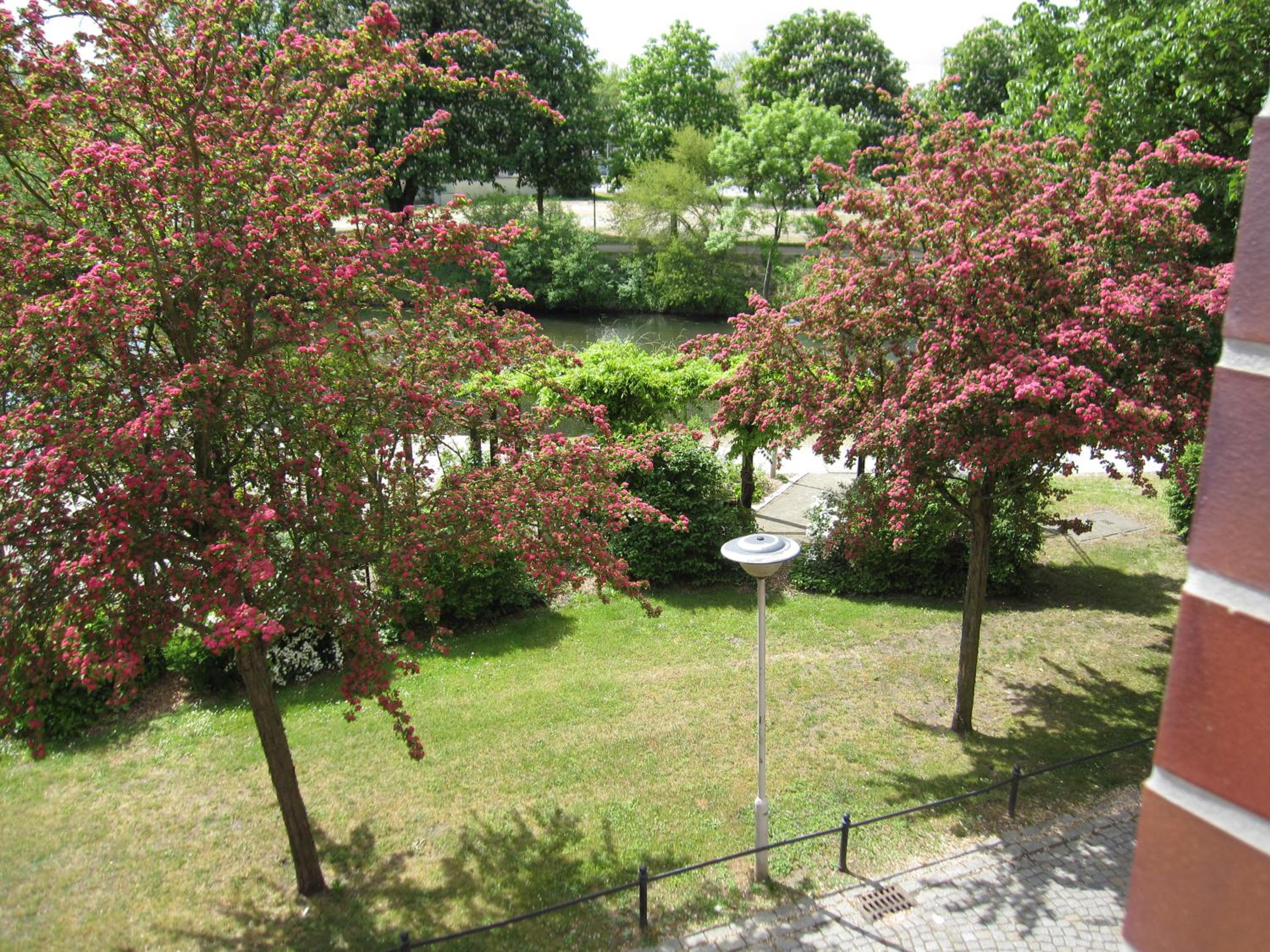 children's play area
