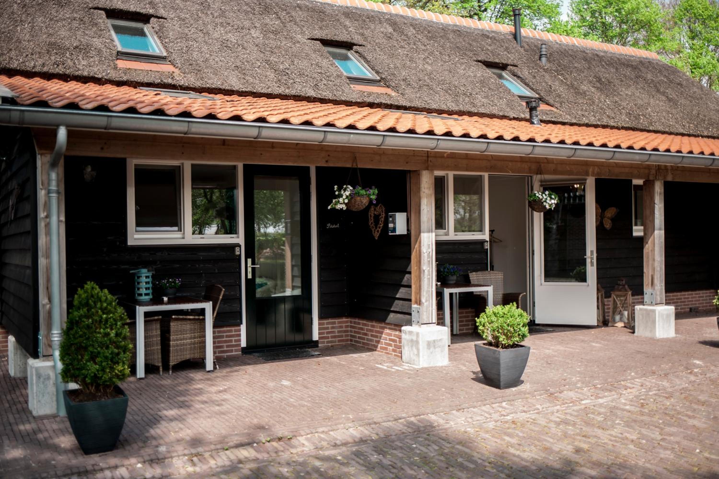 Rheezerstee, photo 28