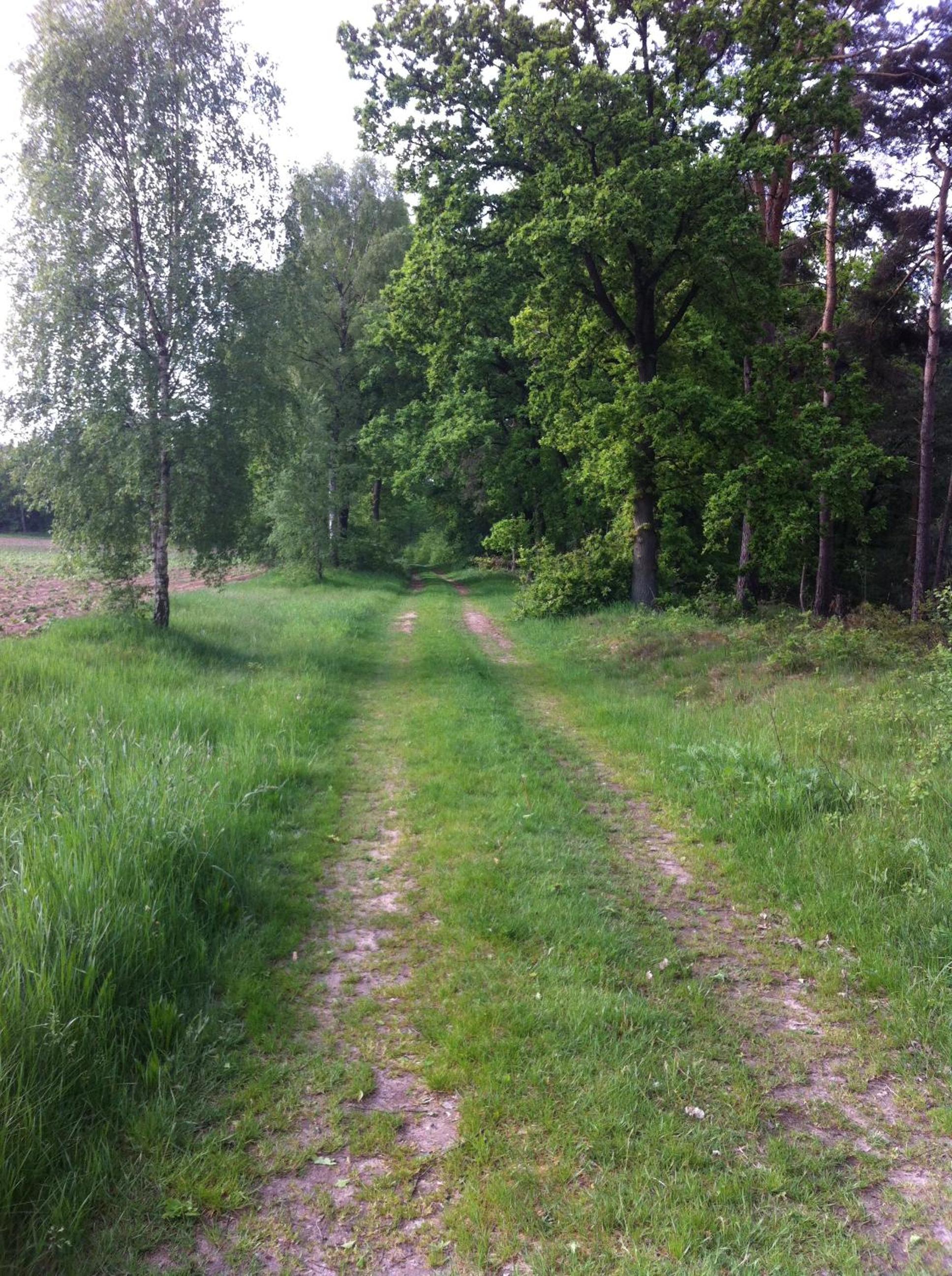 Photo 11